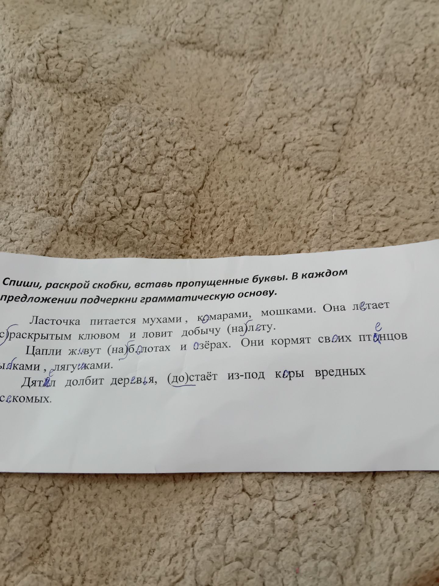 Фото задания: Спиши, раскрой скобки, вставь пропущенные буквы. В каждом предложении подчеркни грамматическую основу. Ласточка питается…