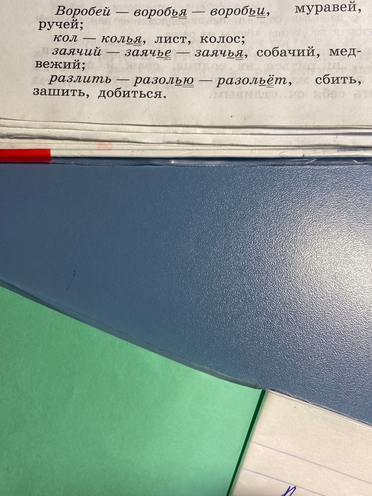 Фото задания: Проверить и объяснить написание мягкого знака в словах: Воробей — воробья — воробьи, муравей, ручей; кол — колья, лист,…