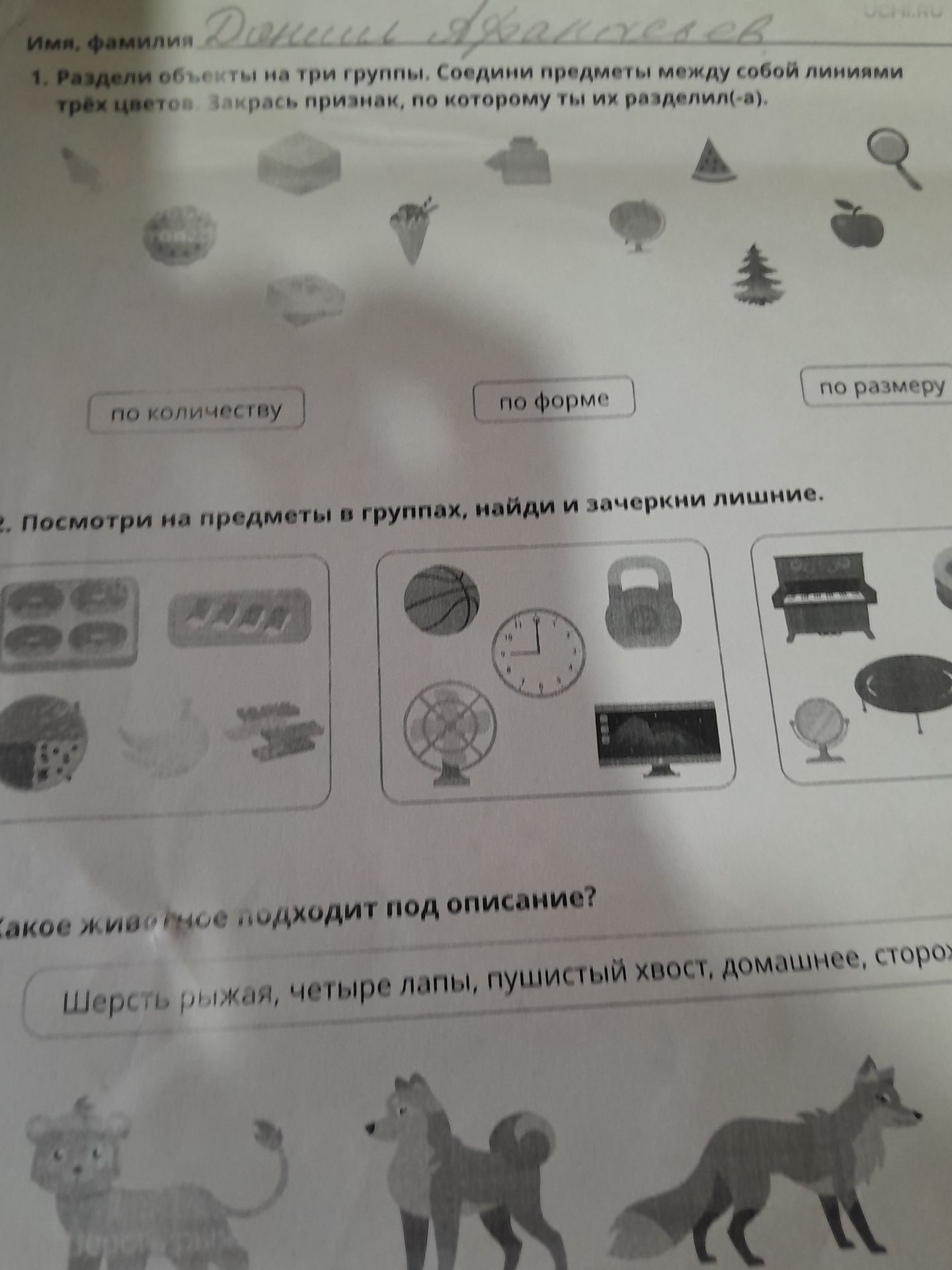 Фото задания: 1. Раздели объекты на три группы. Соедини предметы между собой линиями трёх цветов. Закрась признак, по которому ты их…