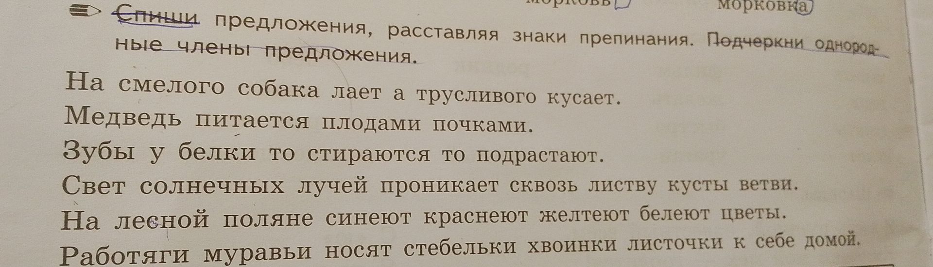 Фото задания: Расставь знаки препинания. Подчеркни однородные члены предложения. На смелого собака лает а трусливого кусает. Медведь…