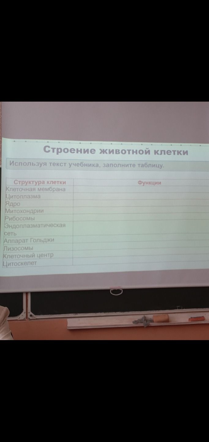 Фото задания: Используя текст учебника, заполните таблицу. Структура клетки: клеточная мембрана, цитоплазма, ядро, митохондрии, рибосомы,…