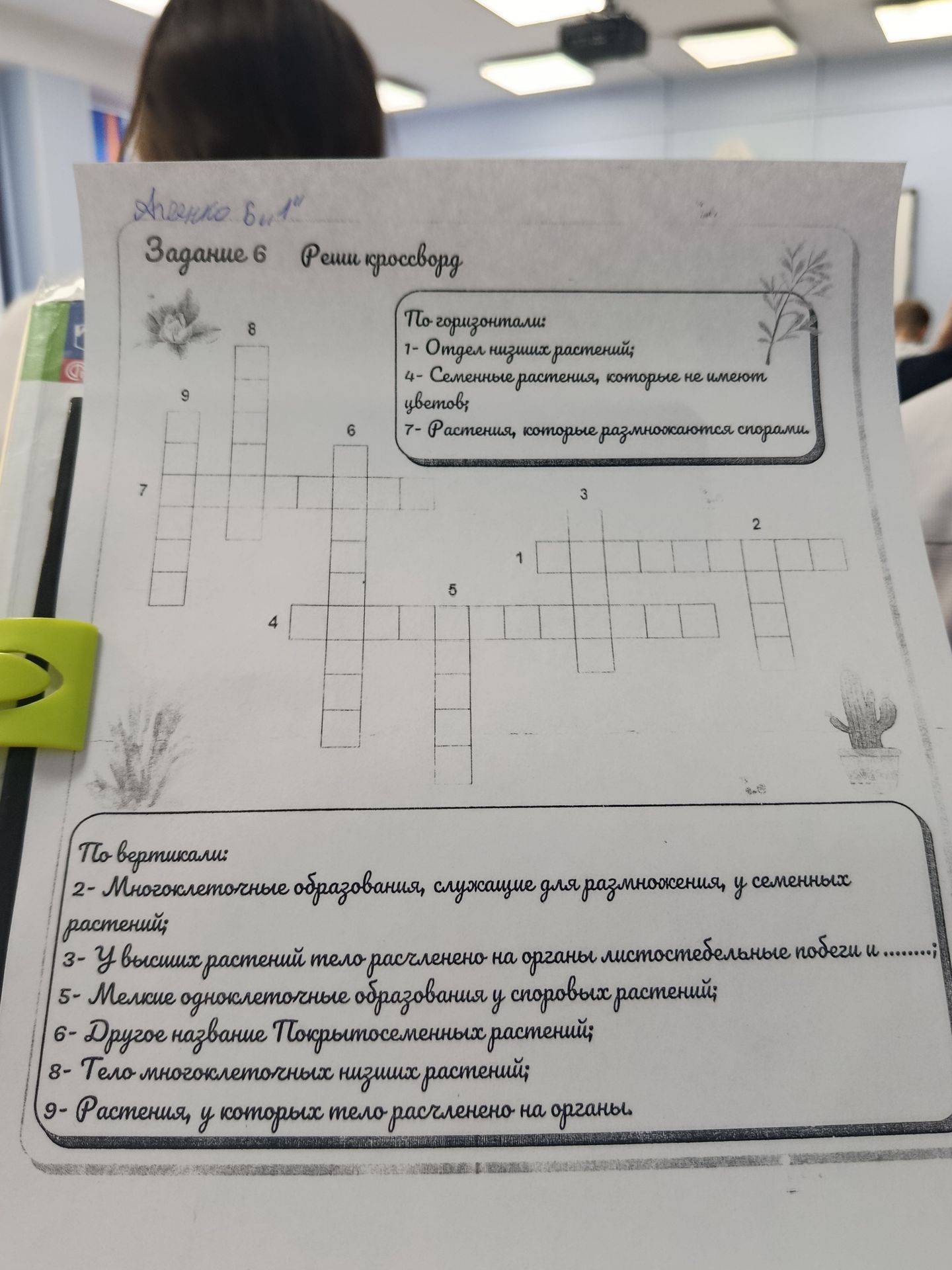 Фото задания: Задание 6. Реши кроссворд. По горизонтали: 1 — Отдел низших растений; 4 — Семенные растения, которые не имеют цветов; 7 —…