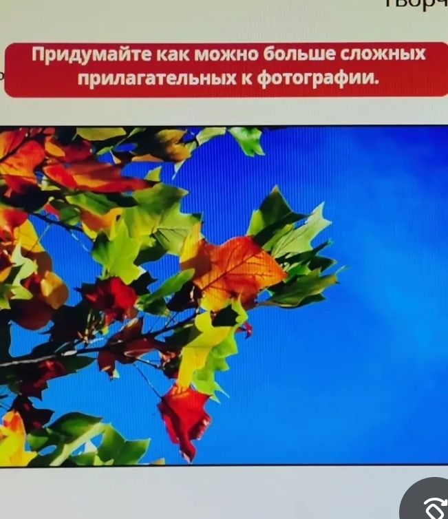 Фото задания: Придумайте как можно больше сложных прилагательных к фотографии.