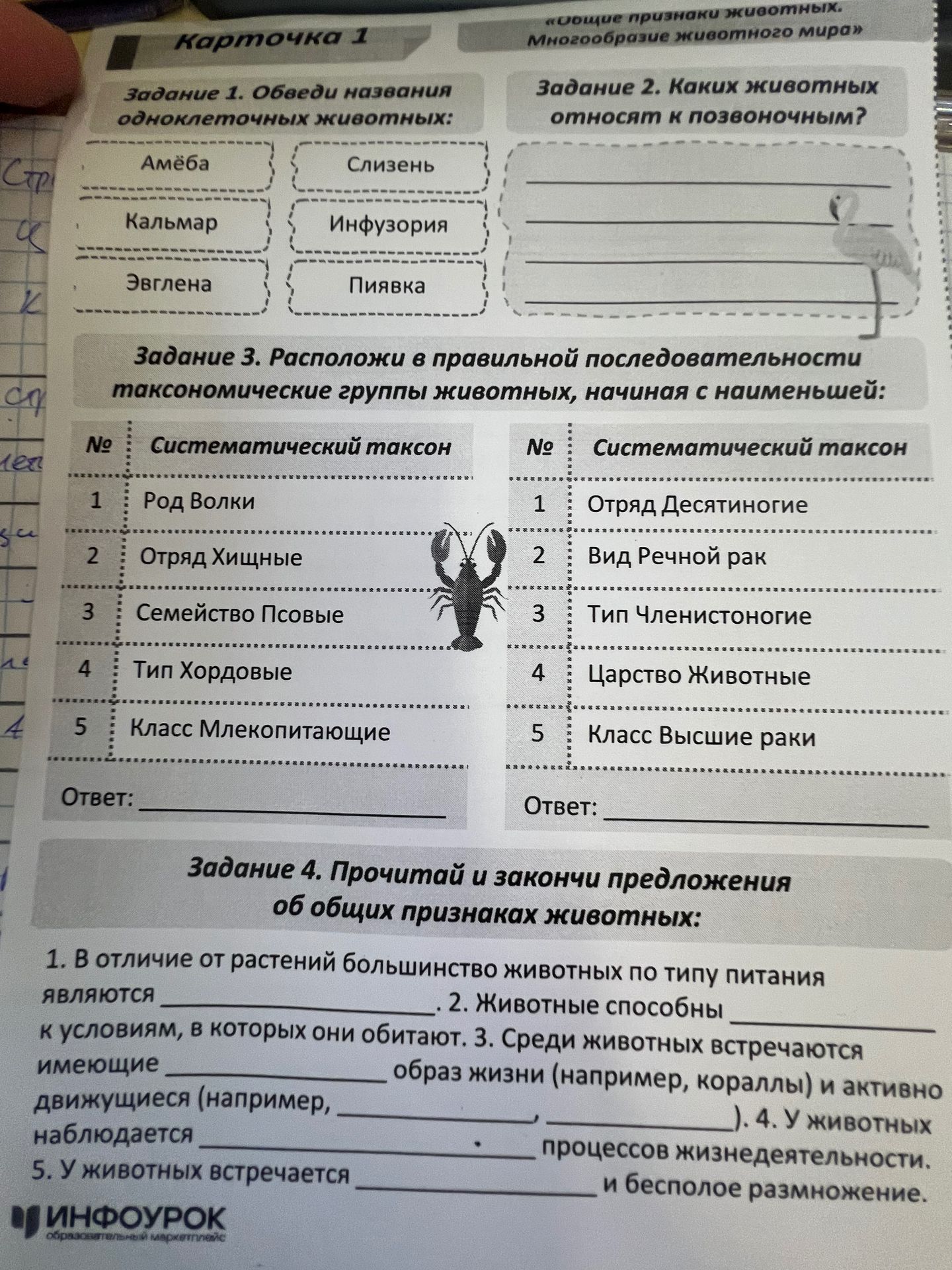 Фото задания: Задание 4. Прочитай и закончи предложения об общих признаках животных: 1. В отличие от растений большинство животных по…