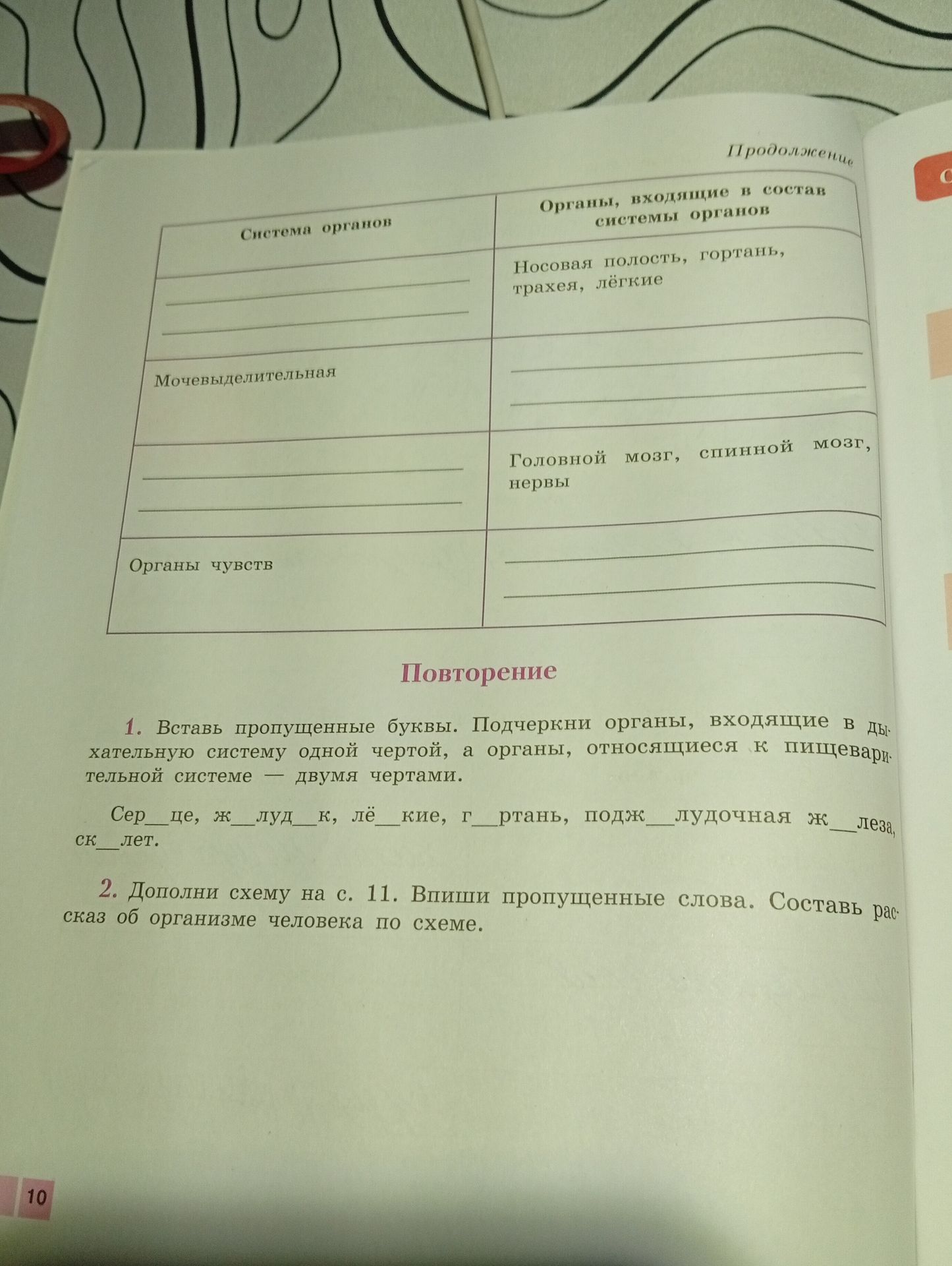 Фото задания: Заполнить таблицу: указать системы органов и органы, входящие в их состав.