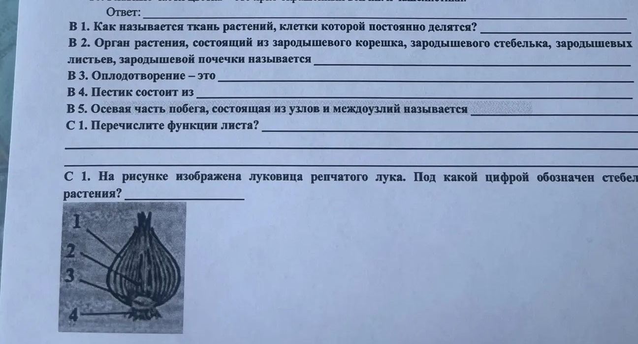 Фото задания: В 5. Осевой частью побега, состоящей из узлов и междоузлий, называется