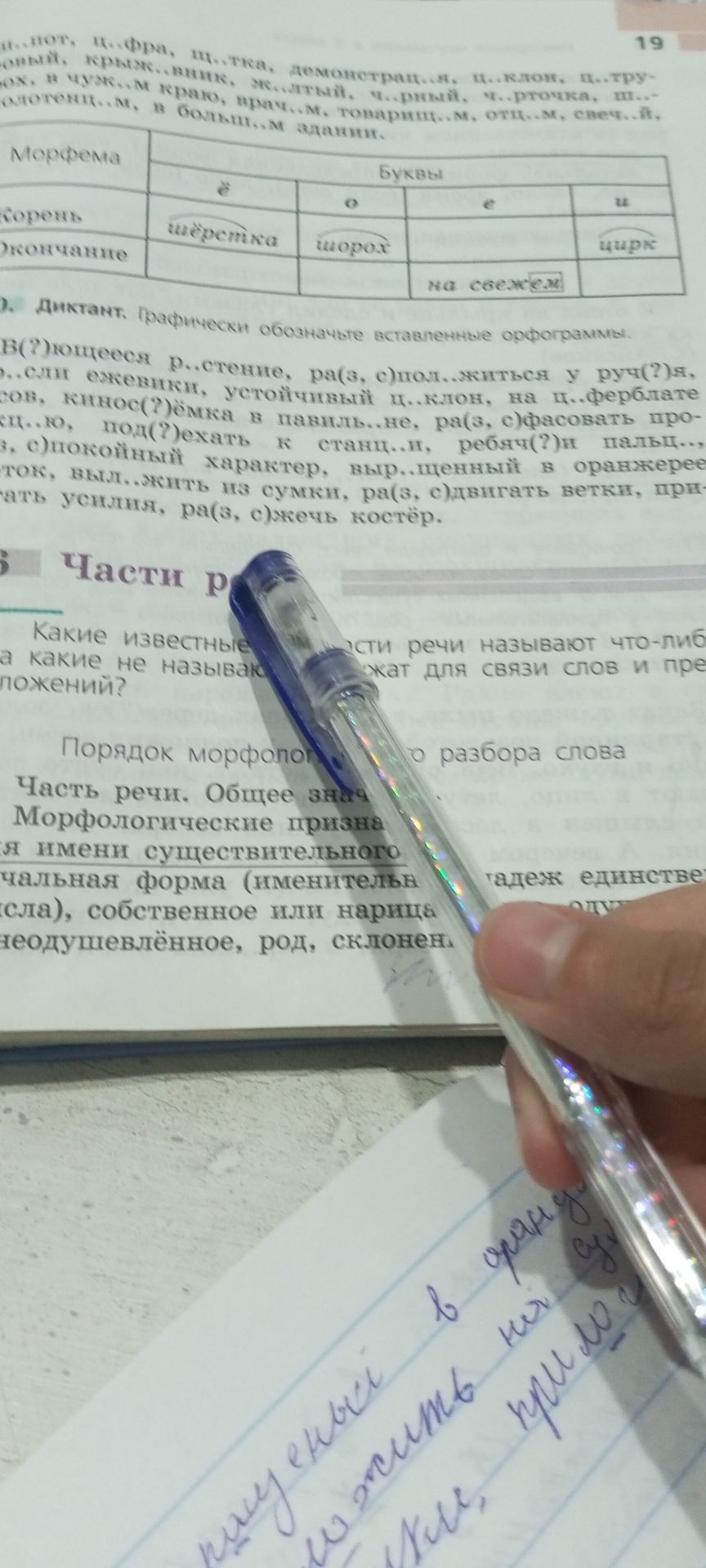 Фото задания: Диктант. Графически обозначьте вставленные орфограммы. [текст задания частично обрезан и неразборчив]