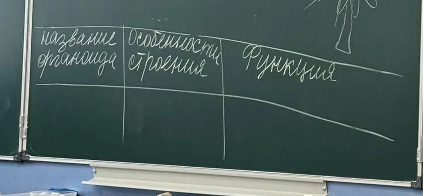 Фото задания: Таблица с графами «Название органоида», «Особенности строения», «Функции».