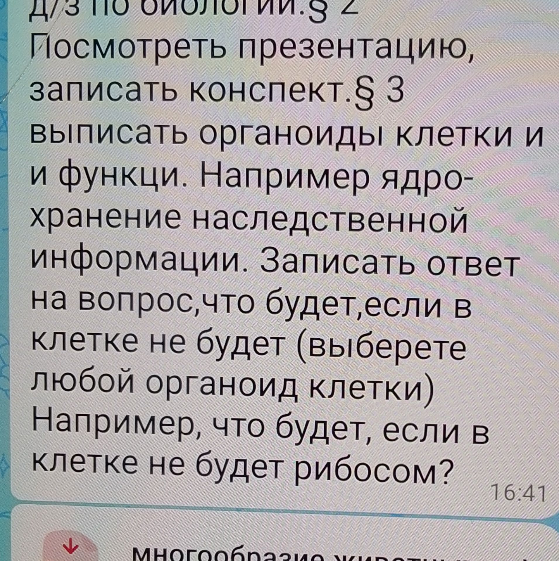 Фото задания: Выписать органоиды клетки и функции. Например: ядро — хранение наследственной информации. Записать ответ на вопрос: что…