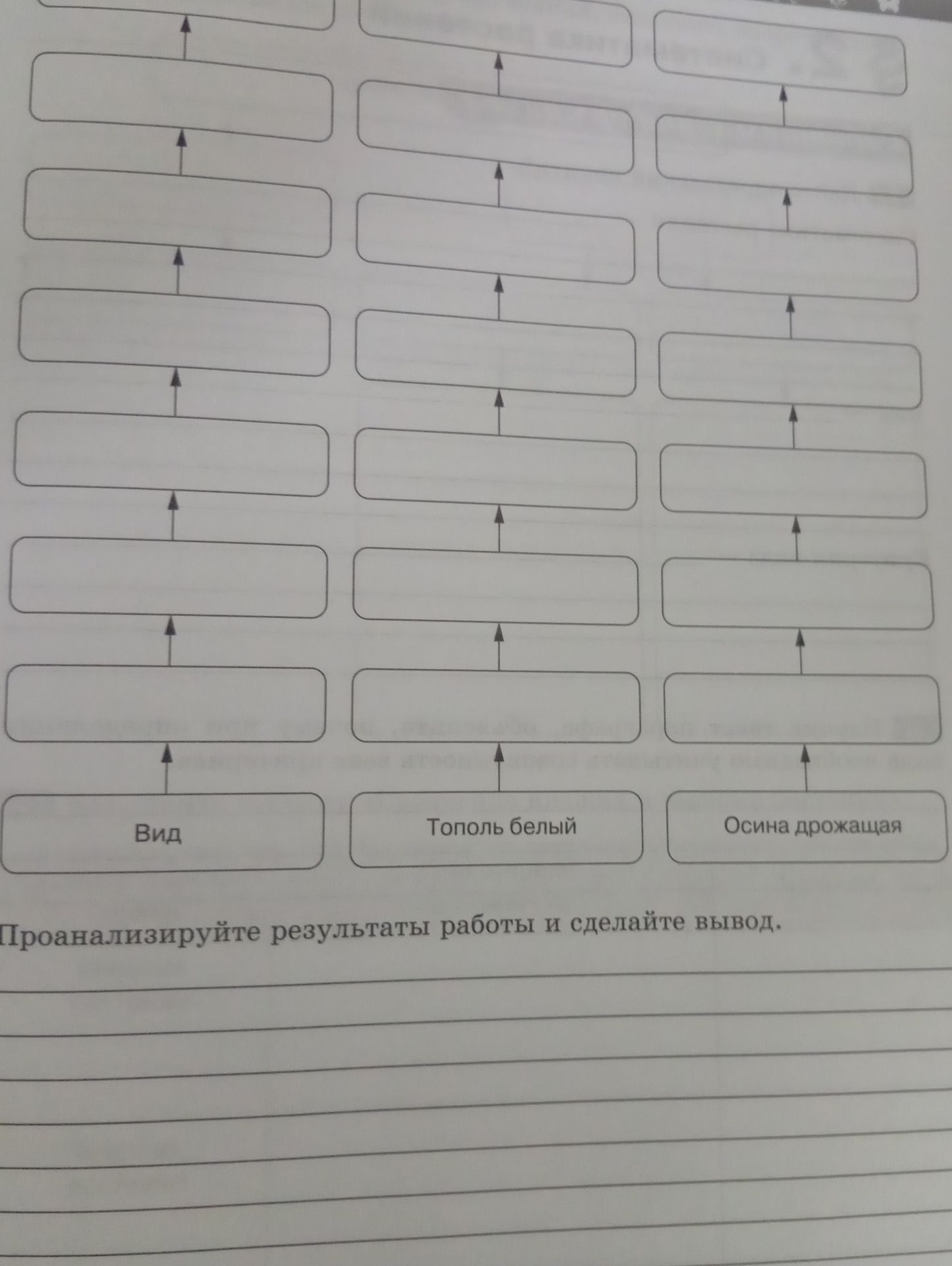 Фото задания: Заполните систематические ряды для видов «Тополь белый» и «Осина дрожащая», начиная с категории «Вид». Проанализируйте…