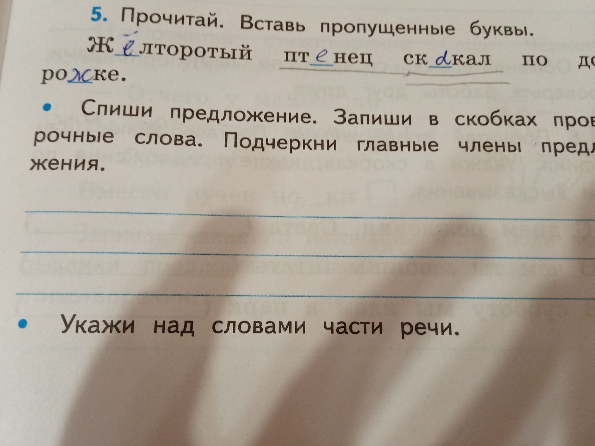 Фото задания: 5. Прочитай. Вставь пропущенные буквы: Ж_лторотый пт_нец ск_кал по д_рожке. Спиши предложение. Запиши в скобках проверочные…