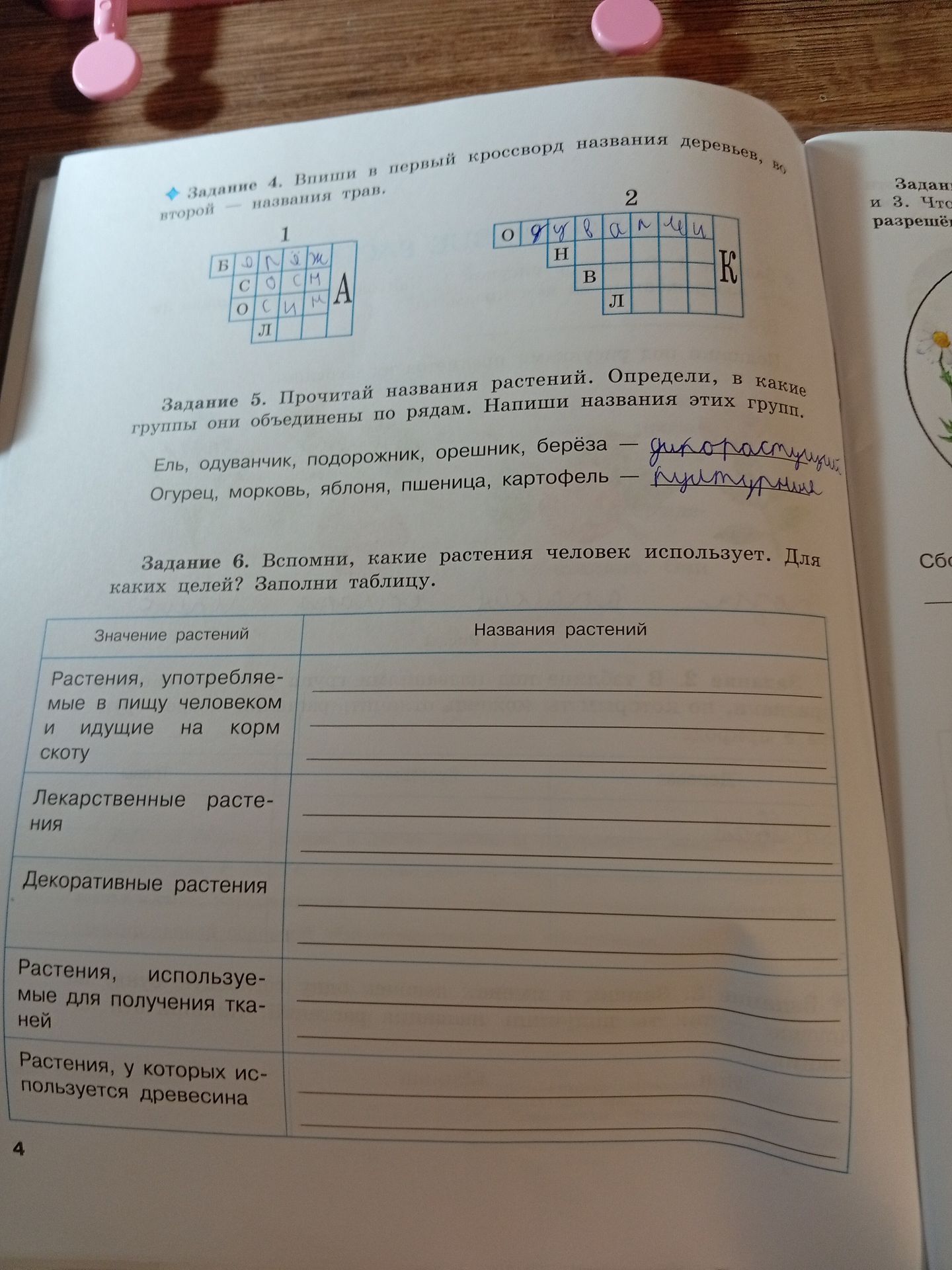 Фото задания: Задание 4. Впиши в первый кроссворд названия деревьев, во второй — названия трав.