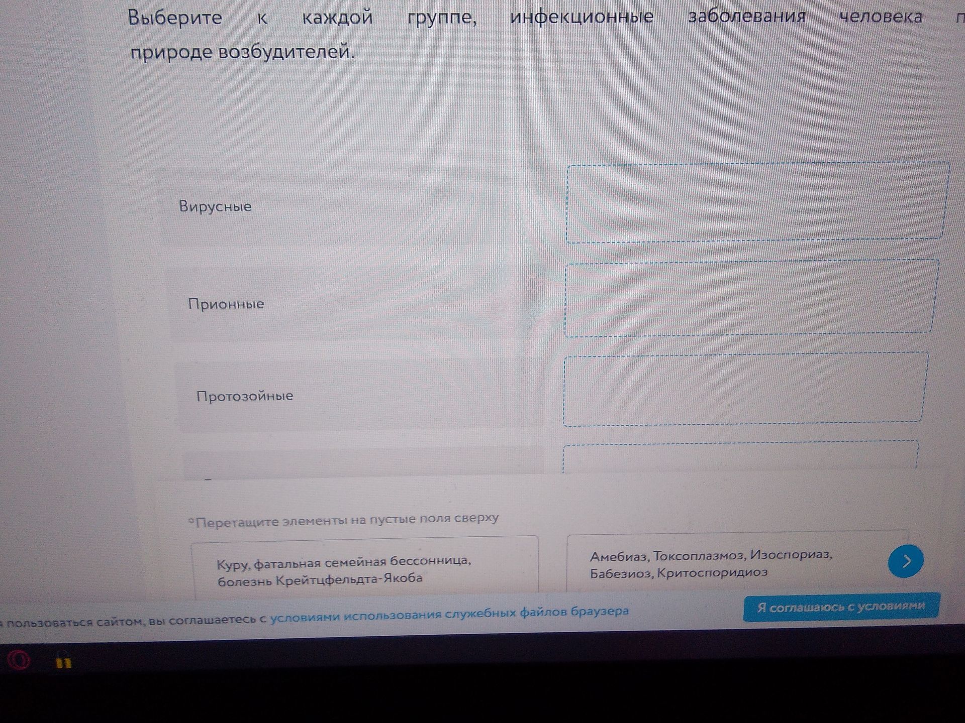 Фото задания: Выберите к каждой группе инфекционные заболевания человека по природе возбудителей. Видимые группы: вирусные, прионные,…