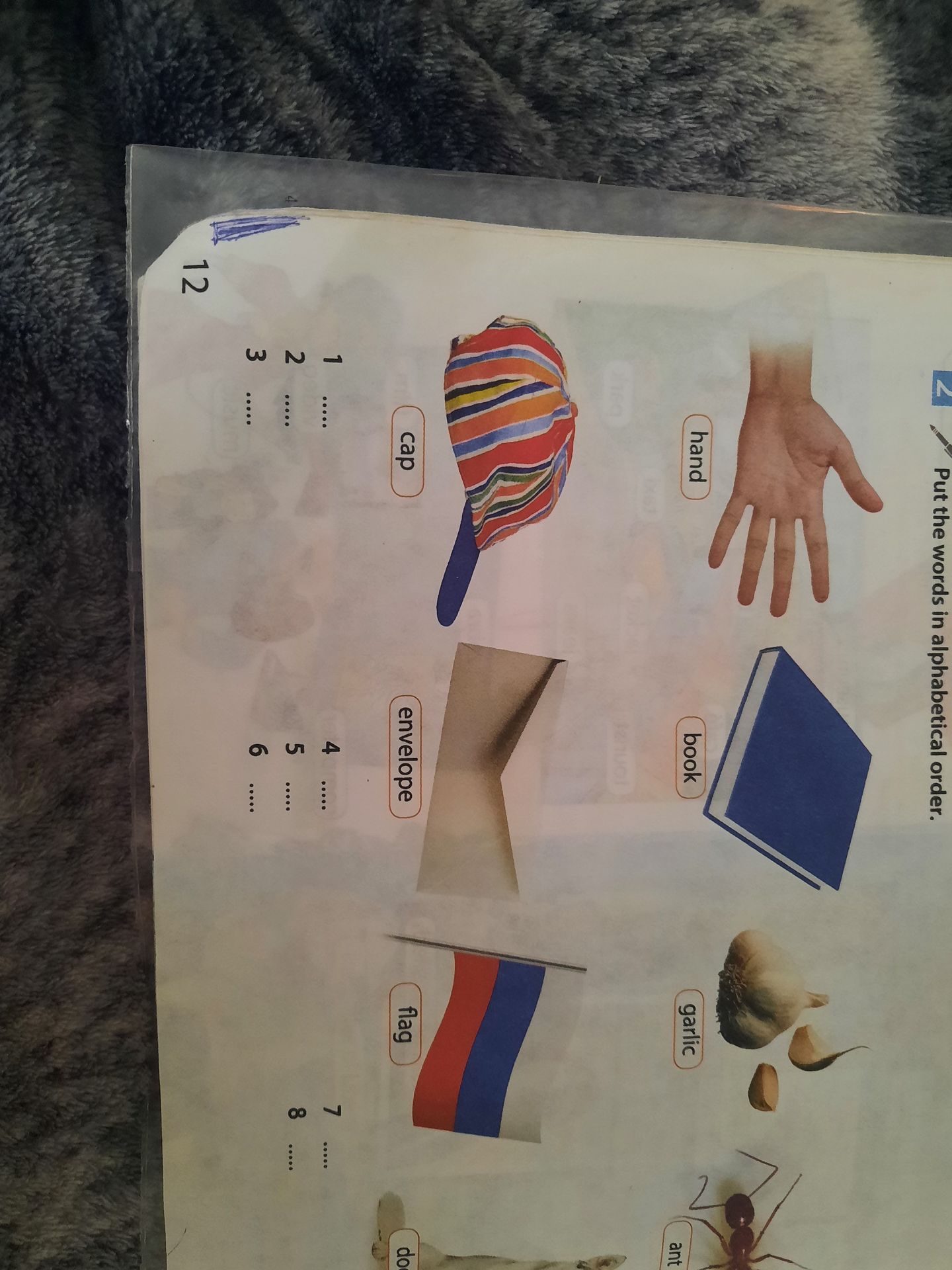 Фото задания: Put the words in alphabetical order: cap, envelope, flag, hand, book, garlic, ant, dog.
