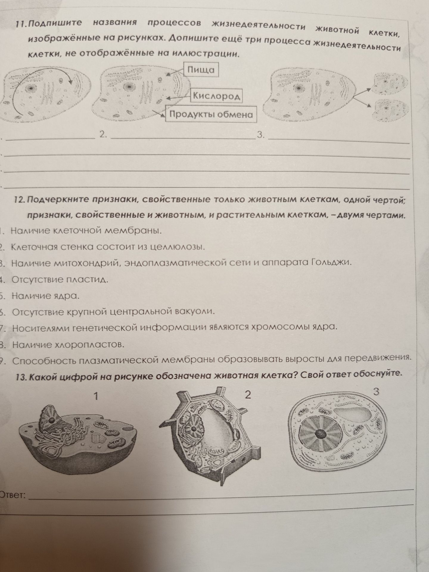 Фото задания: 11. Подпишите названия процессов жизнедеятельности животной клетки, изображённые на рисунках. Допишите ещё три процесса…