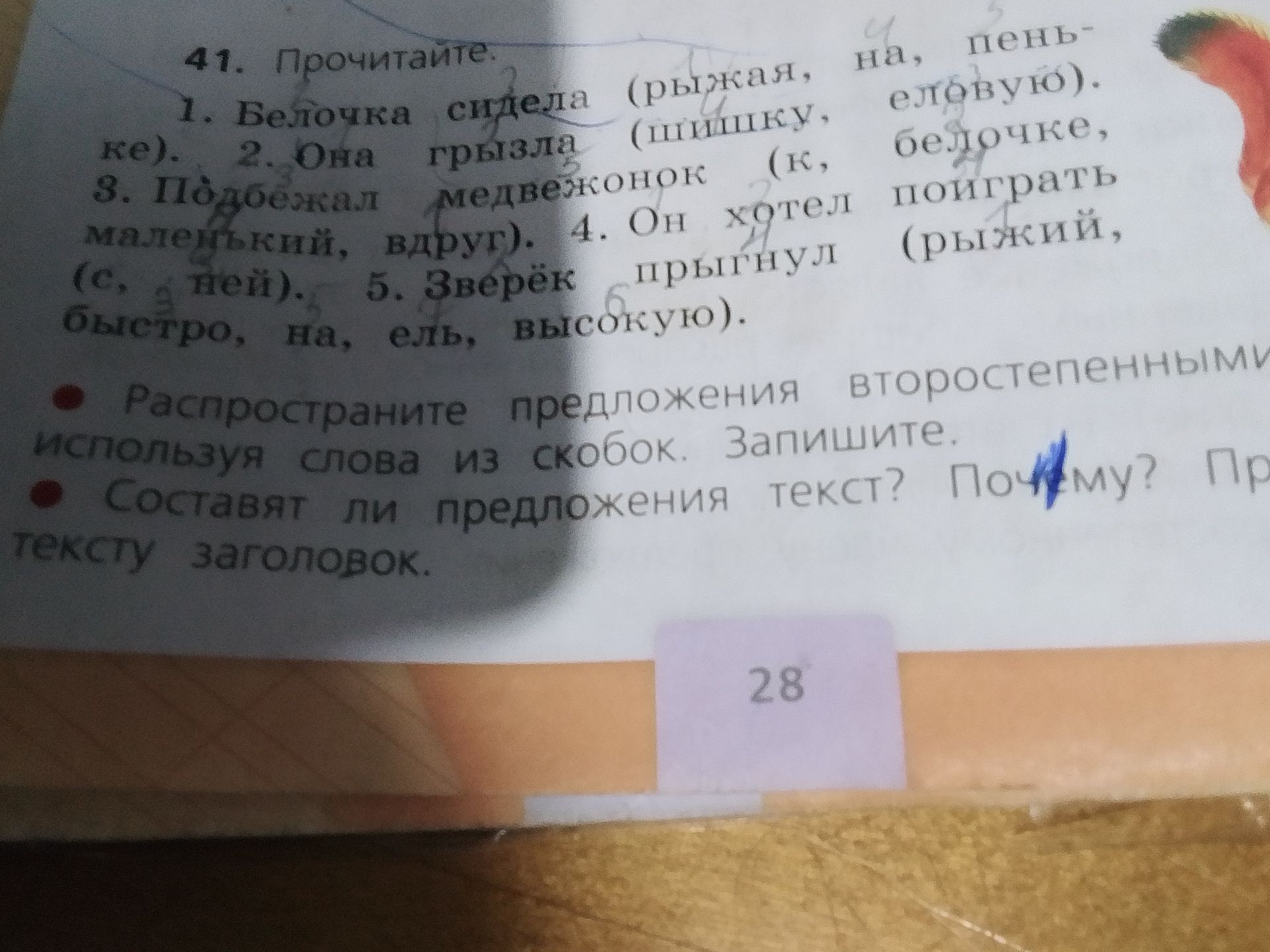 Фото задания: 41. Прочитайте. 1. Белочка сидела (рыжая, на, пеньке). 2. Она грызла (шишку, на, еловую). 3. Подбежал медвежонок (к, белочке,…