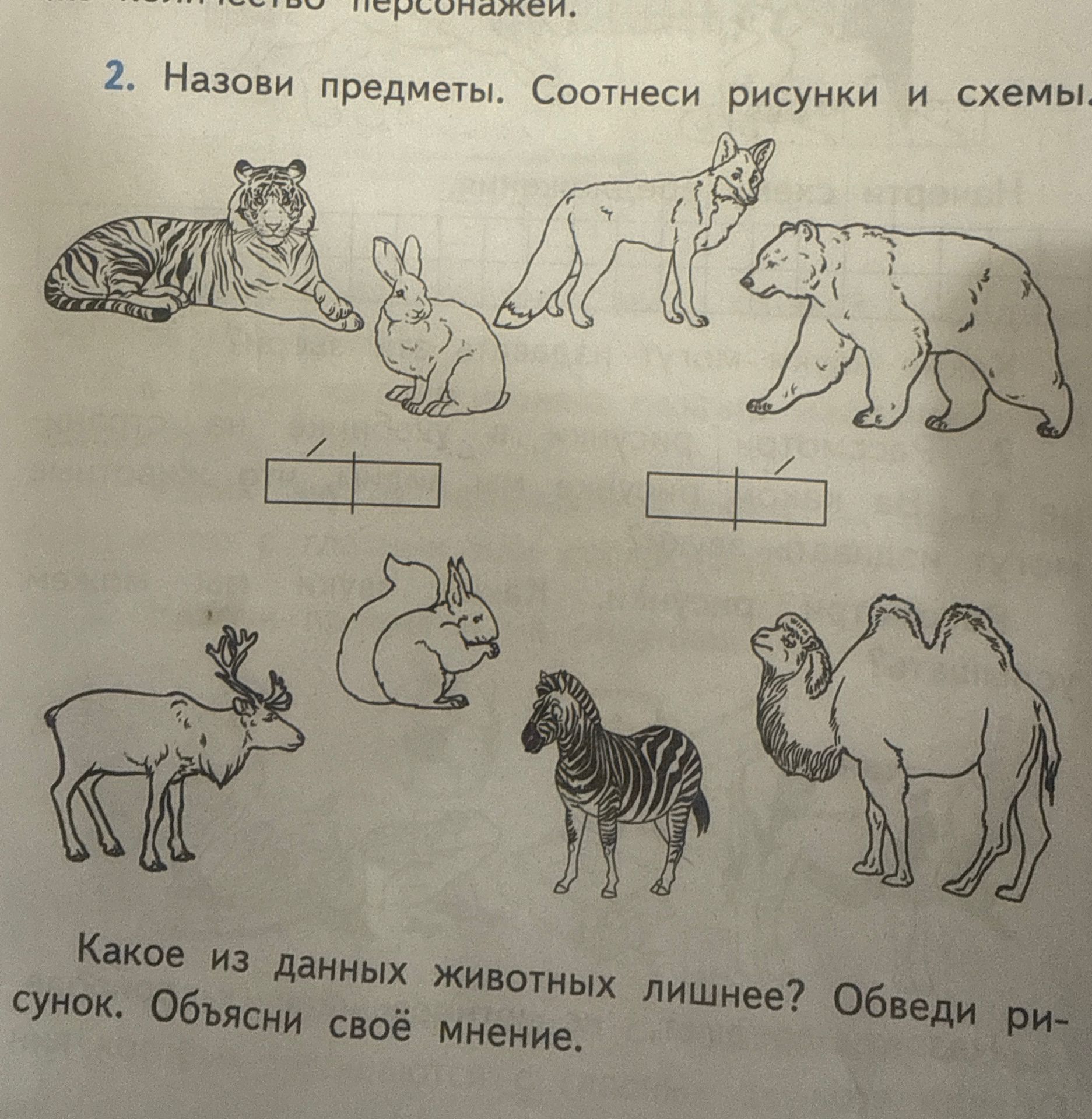 Фото задания: 2. Назови предметы. Соотнеси рисунки и схемы. На рисунках: тигр, заяц, лиса, медведь, олень, белка, зебра, верблюд.
