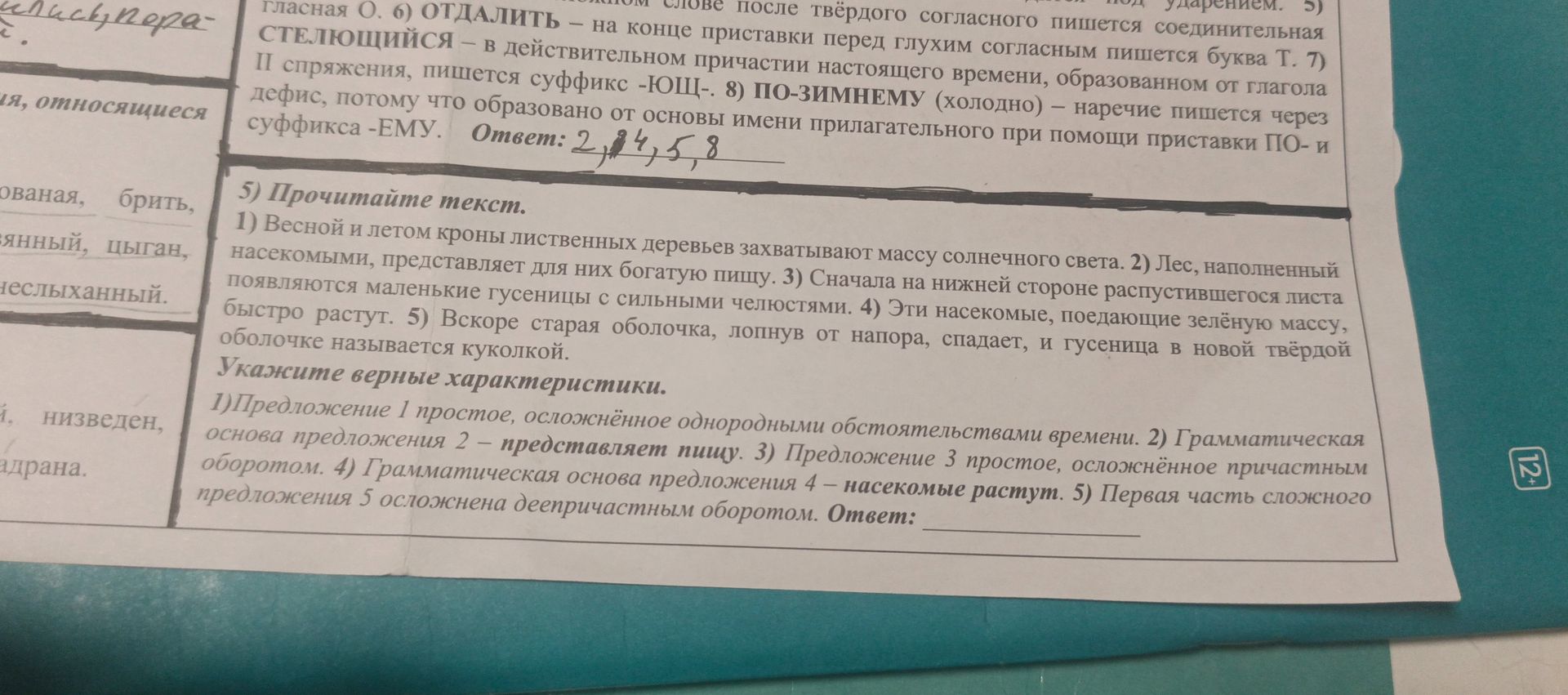 Фото задания: 5) Прочитайте текст. 1) Весной и летом кроны лиственных деревьев захватывают массу солнечного света. 2) Лес, наполненный…