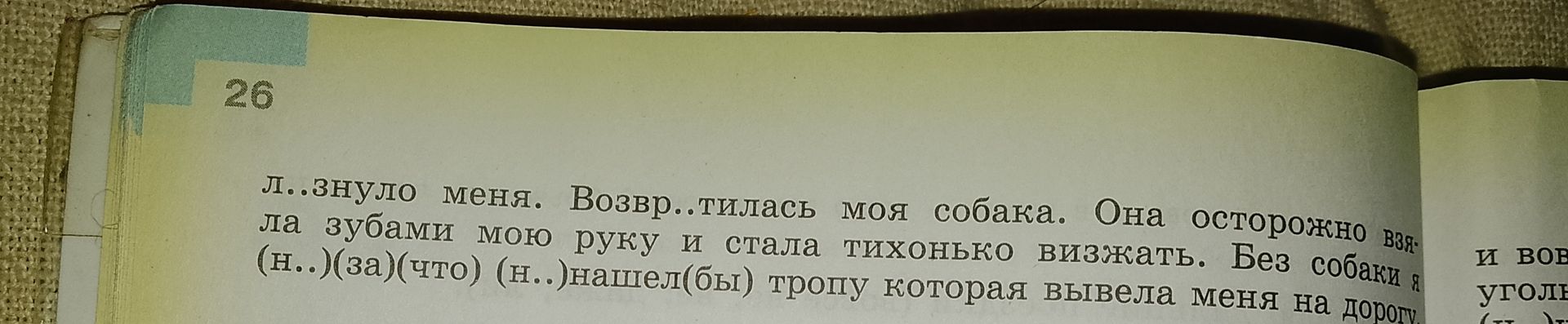 Фото задания: Л..знуло меня. Возвр..тилась моя собака. Она осторожно взяла зубами мою руку и стала тихонько визжать. Без собаки я…