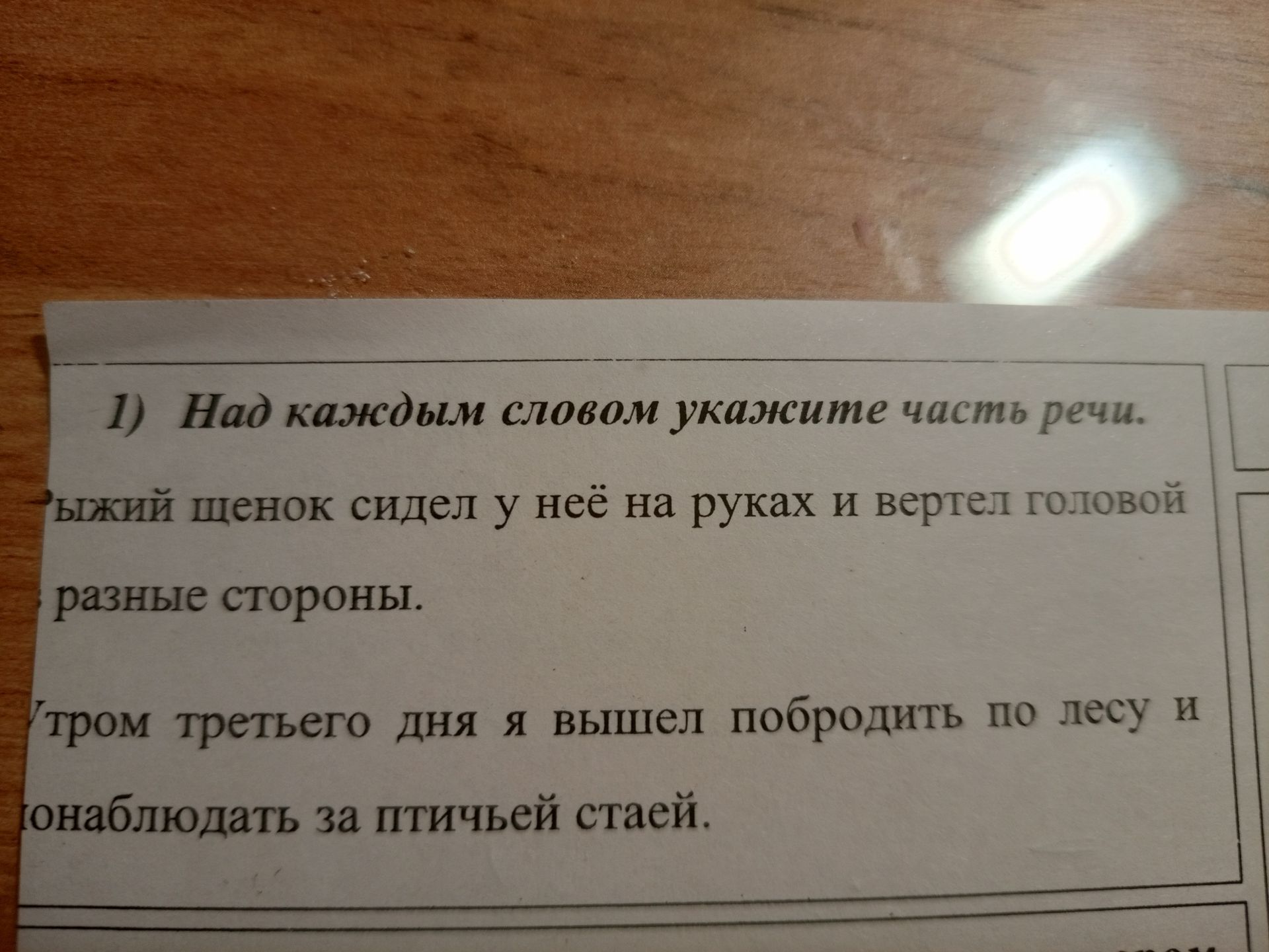 Фото задания: 1) К каждому слову укажите часть речи: Рыжий щенок сидел у неё на руках и вертел головой в разные стороны. 2) К каждому слову…