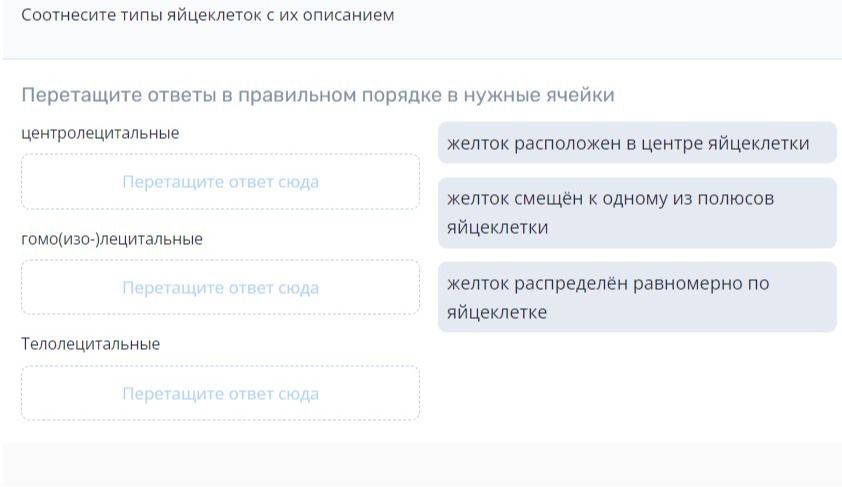 Фото задания: Соотнесите типы яйцеклеток с их описанием: центролецитальные, гомо(изо)-лецитальные, телолецитальные.