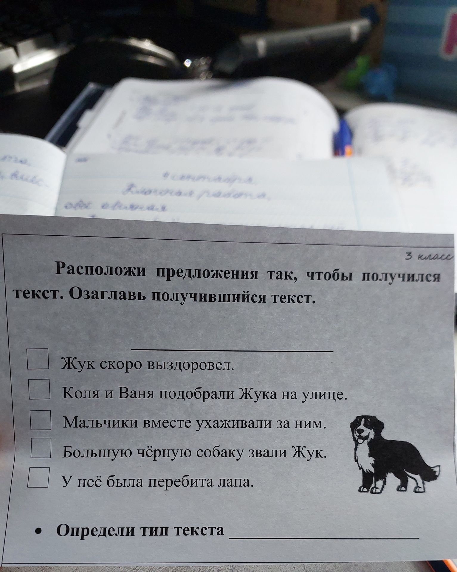 Фото задания: Расположи предложения так, чтобы получился текст. Озаглавь получившийся текст. Большую чёрную собаку звали Жук. У неё была…