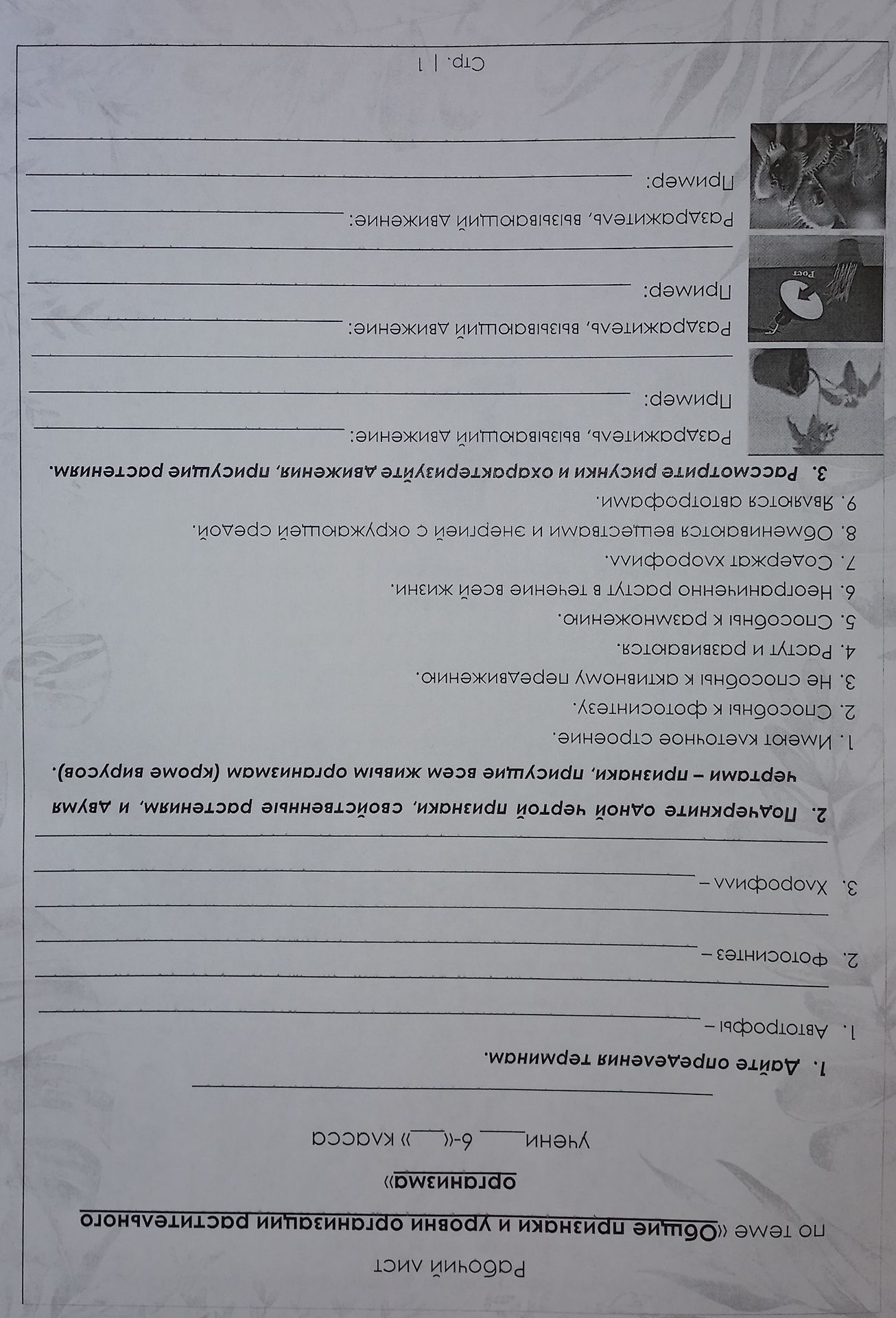 Фото задания: 1. Дайте определения терминам: 1. Автотрофы — 2. Фотосинтез — 3. Хлорофилл —