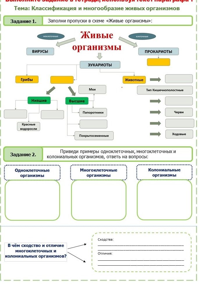 Фото задания: Задание 1. Заполни пропуски в схеме «Живые организмы».