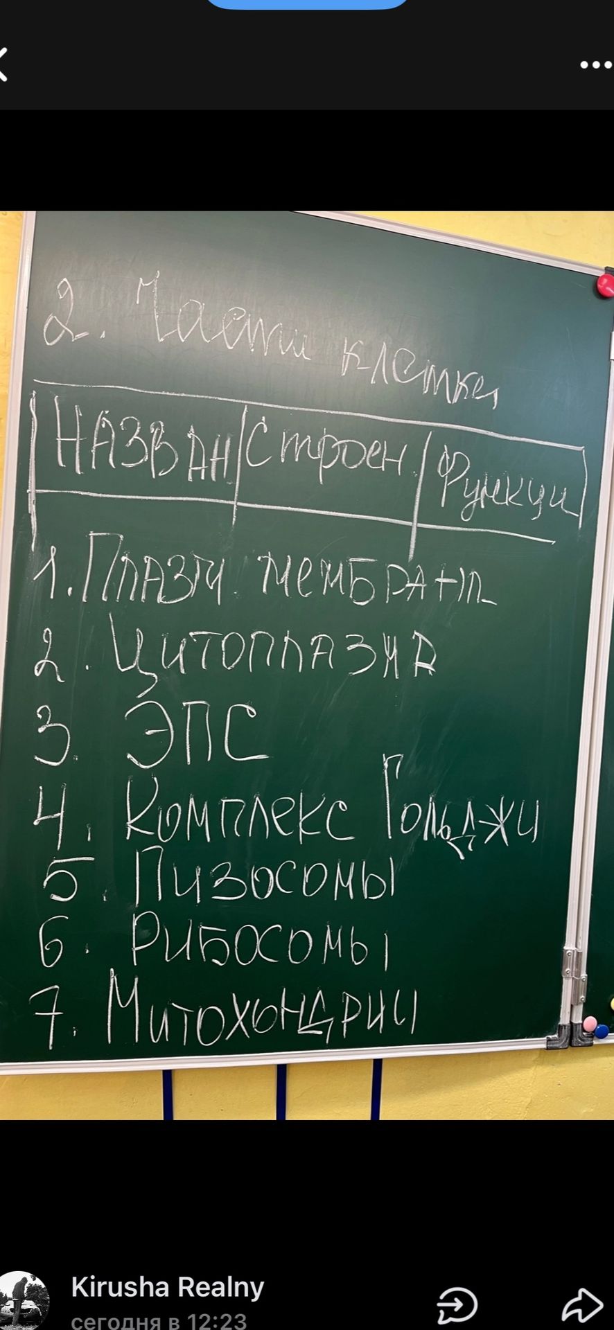 Фото задания: 2. Запиши названия строения и функции: 1) плазматическая мембрана; 2) цитоплазма; 3) ЭПС; 4) комплекс Гольджи; 5) лизосомы;…
