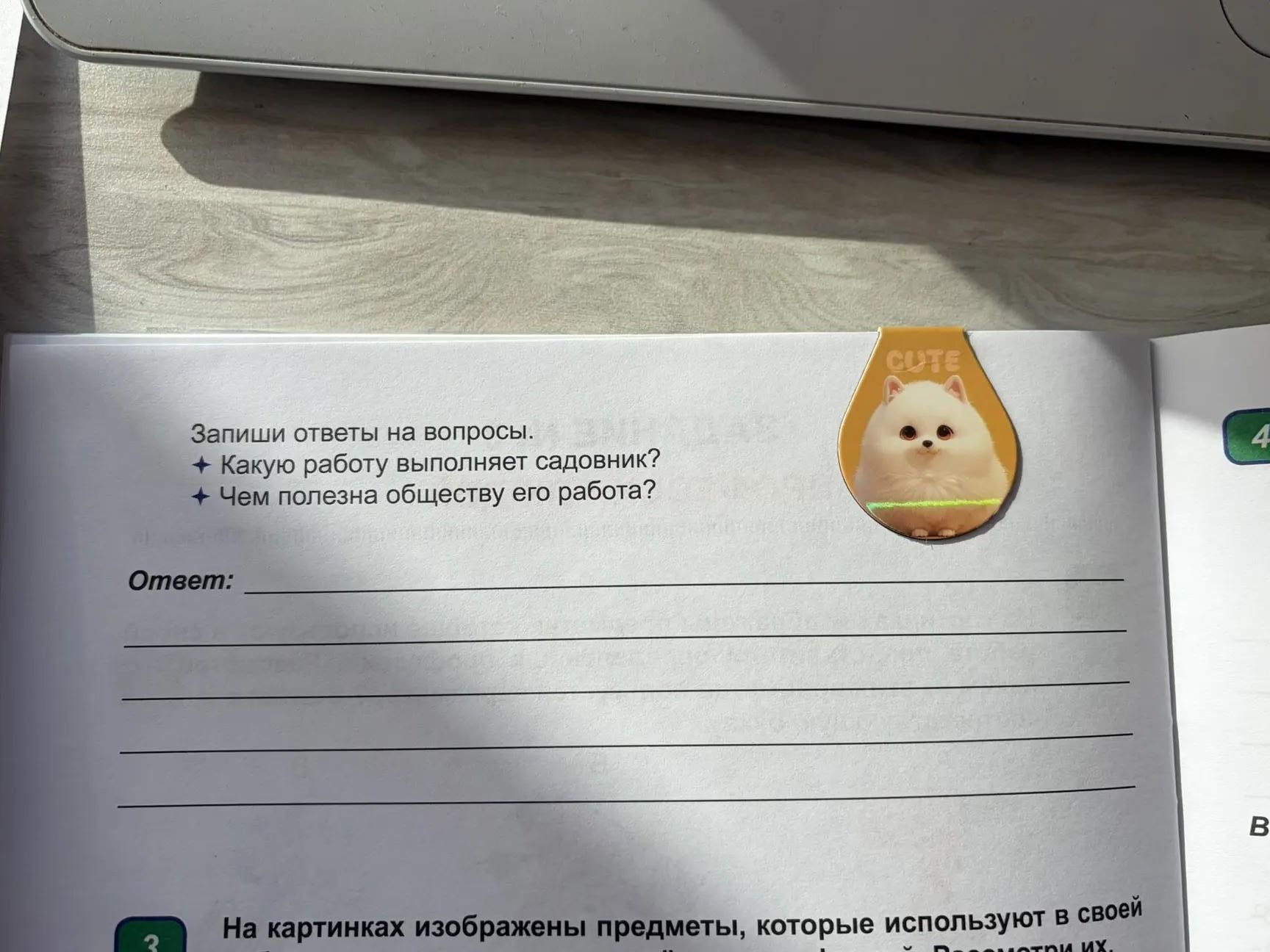 Фото задания: Запиши ответы на вопросы. Какую работу выполняет садовник? Чем полезна обществу его работа?