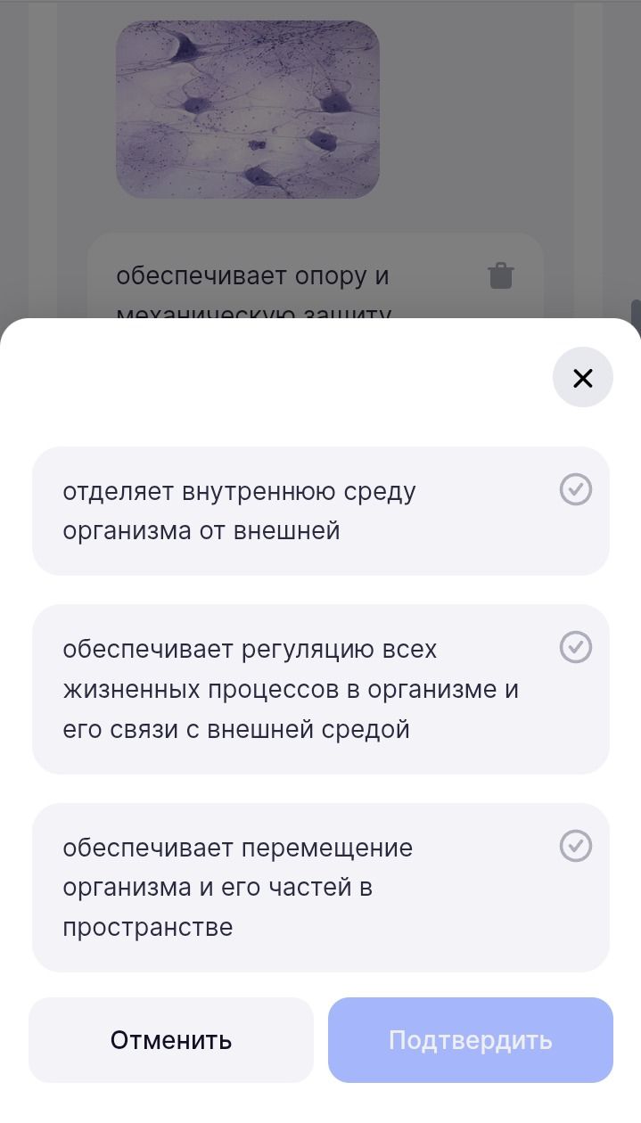 Фото задания: На изображении представлены варианты функций тканей организма: «отделяет внутреннюю среду организма от внешней»,…