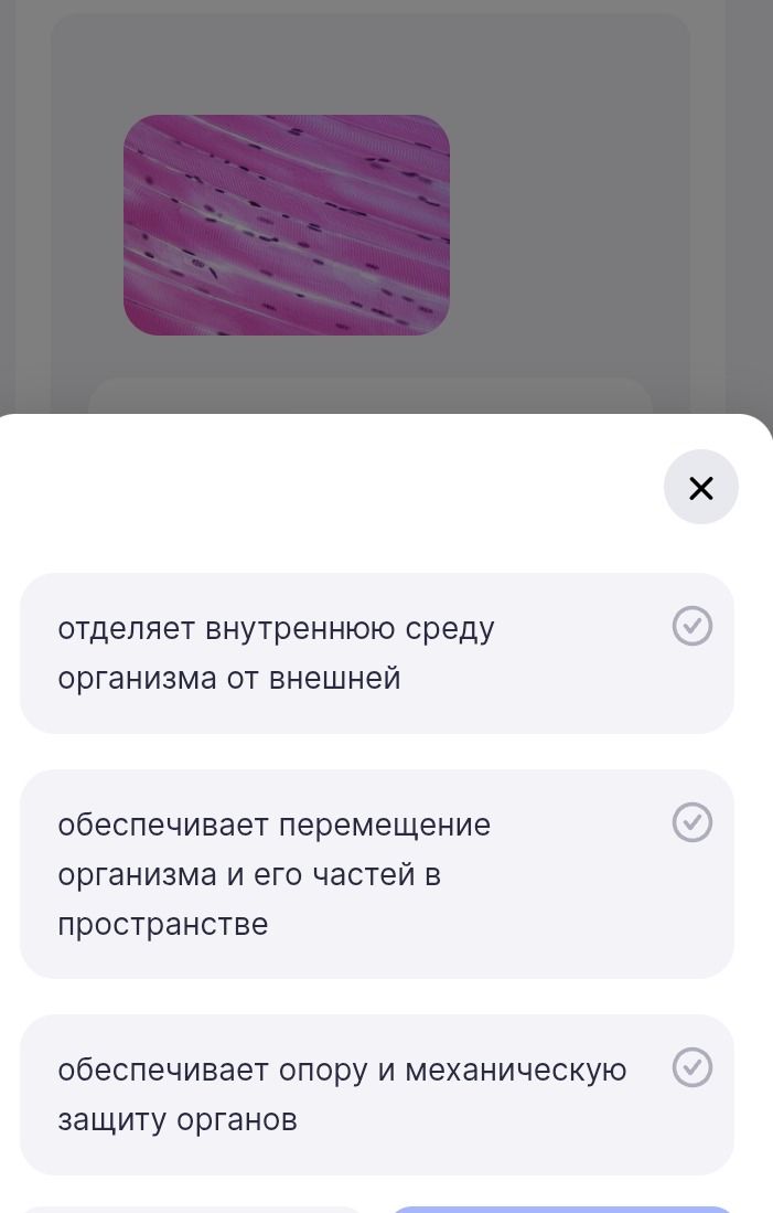 Фото задания: [Условие задания обрезано]. По изображению ткани и представленным вариантам определить функцию ткани: «отделяет внутреннюю…