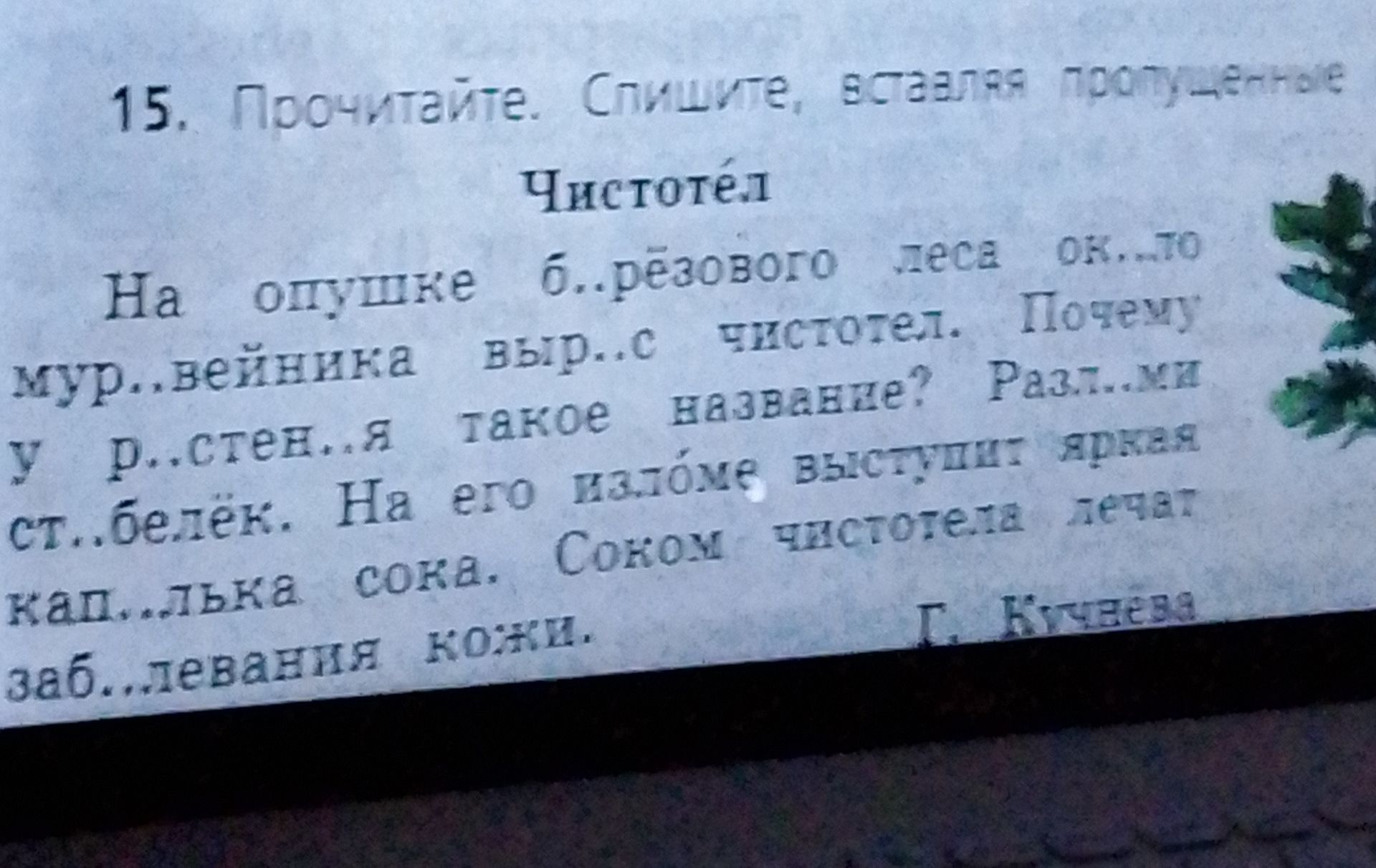 Фото задания: 15. Подумайте. Слушайте, вставляя пропущенные буквы. Чистотел. На опушке б..резового леса ок..ло мурав..йника выр..с…