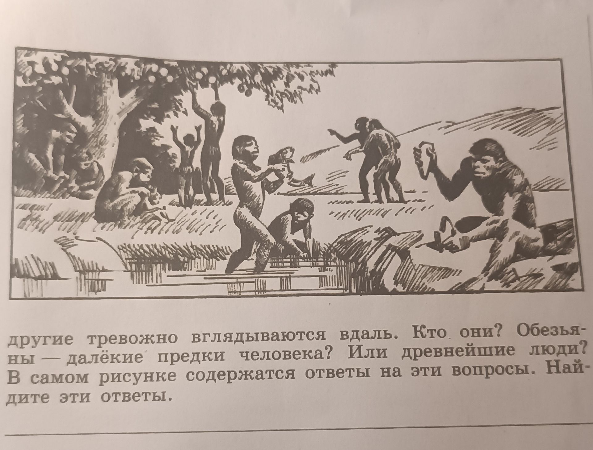 Фото задания: Другие тревожно вглядываются вдаль. Кто они? Обезьяны — далёкие предки человека? Или древнейшие люди? В самом рисунке…