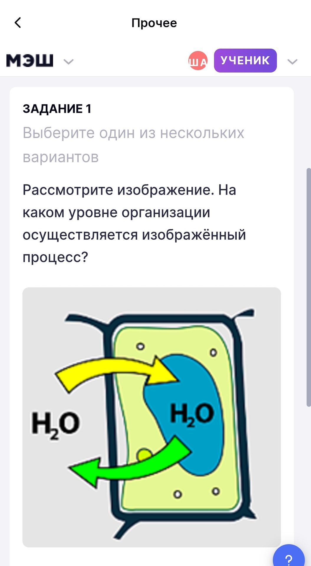 Фото задания: ЗАДАНИЕ 1. Рассмотрите изображение. На каком уровне организации осуществляется изображённый процесс?