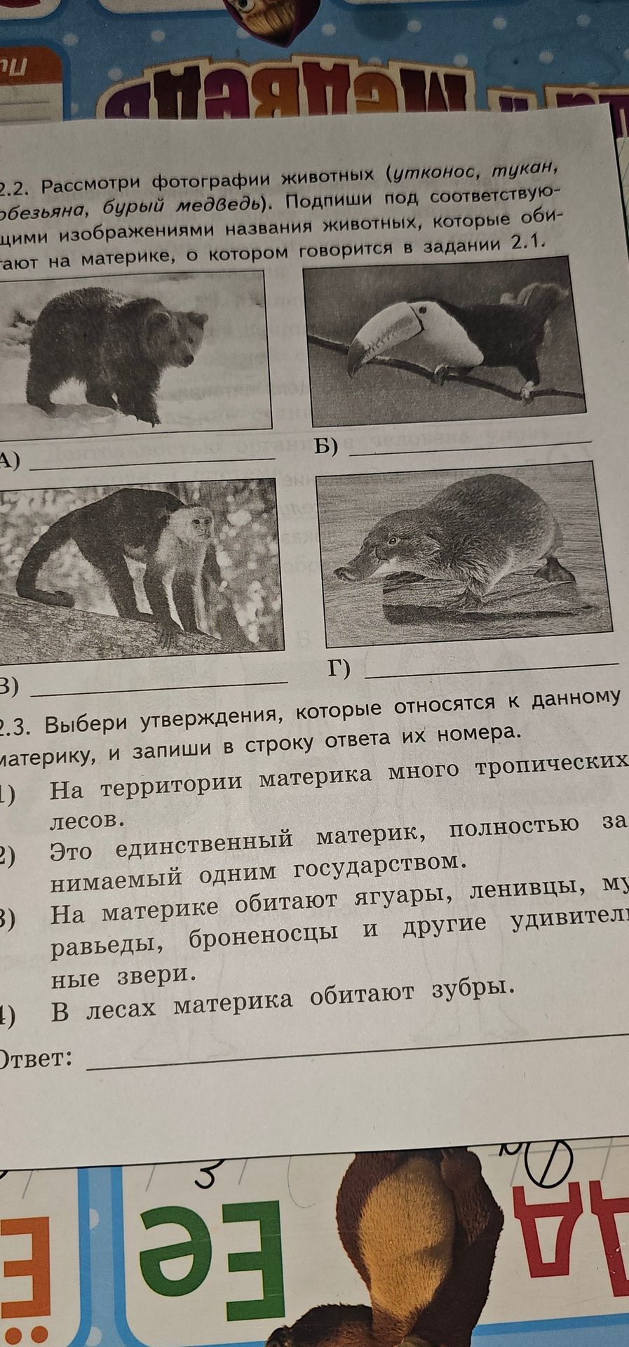 Фото задания: 2.3. Выбери утверждения, которые относятся к данному материку, и запиши в строку ответа их номера. 1) На территории…