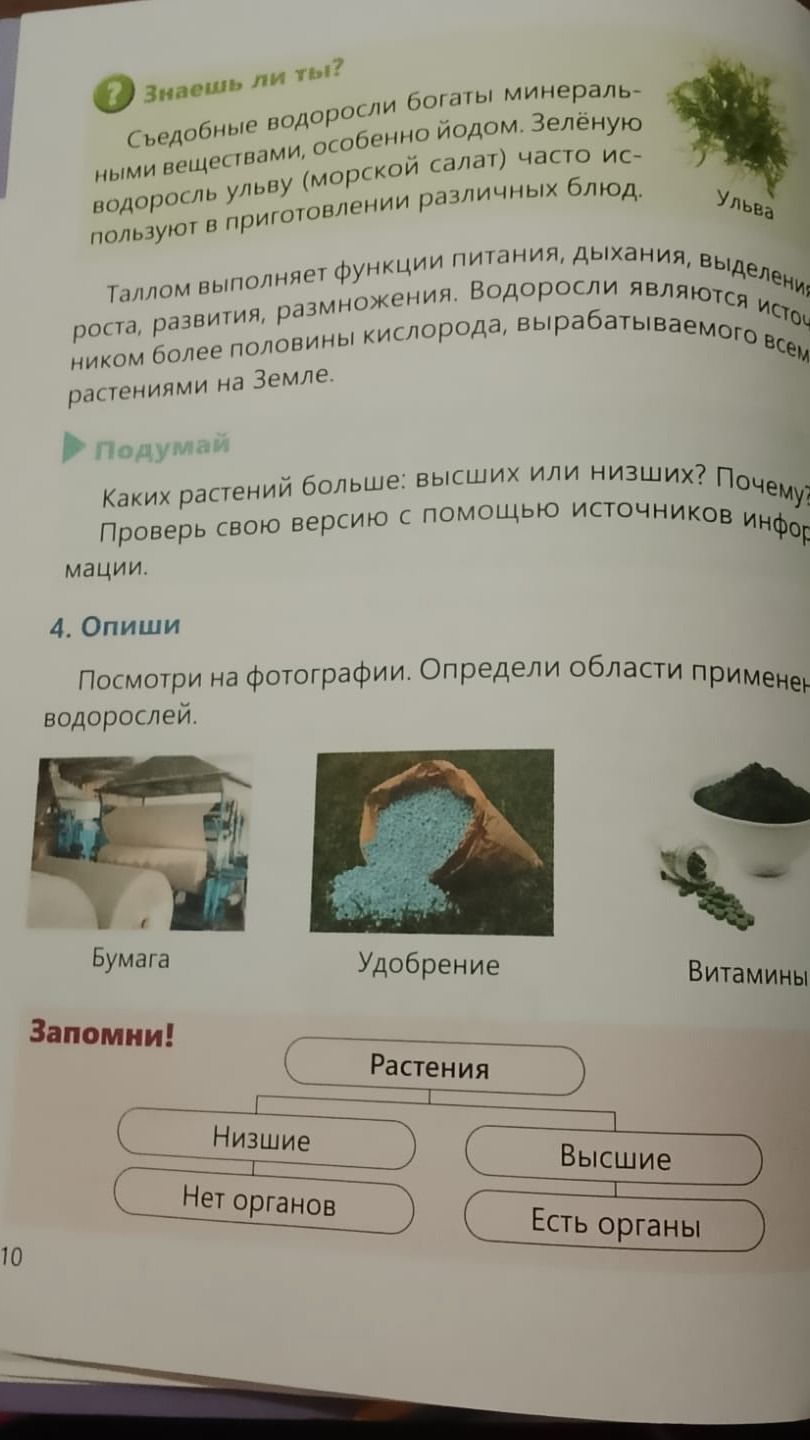 Фото задания: Запомни! Растения делятся на низшие и высшие.