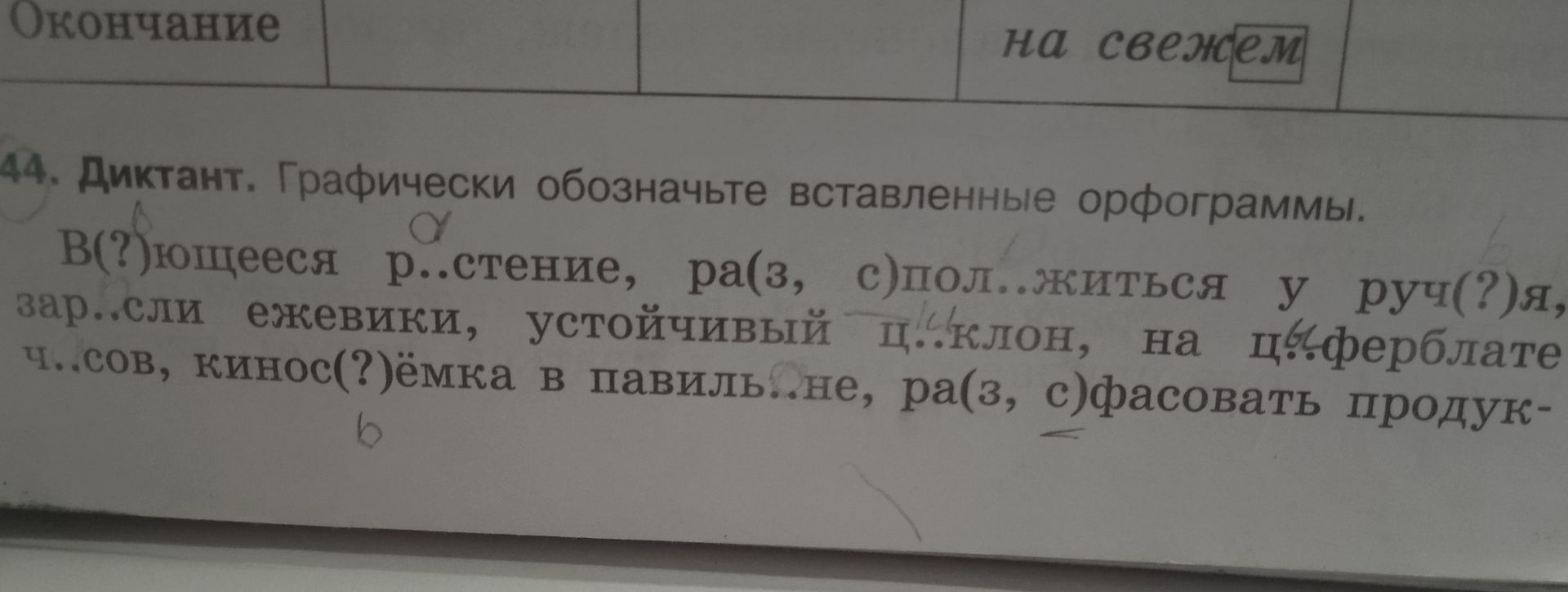 Фото задания: В(?)ющееся р..стение, ра(з, с)стениться у руч(?)я, зар..сли ежевики, устойчивый ц..клон, на ц..ферблате часов, кинос(?)ёмка в…