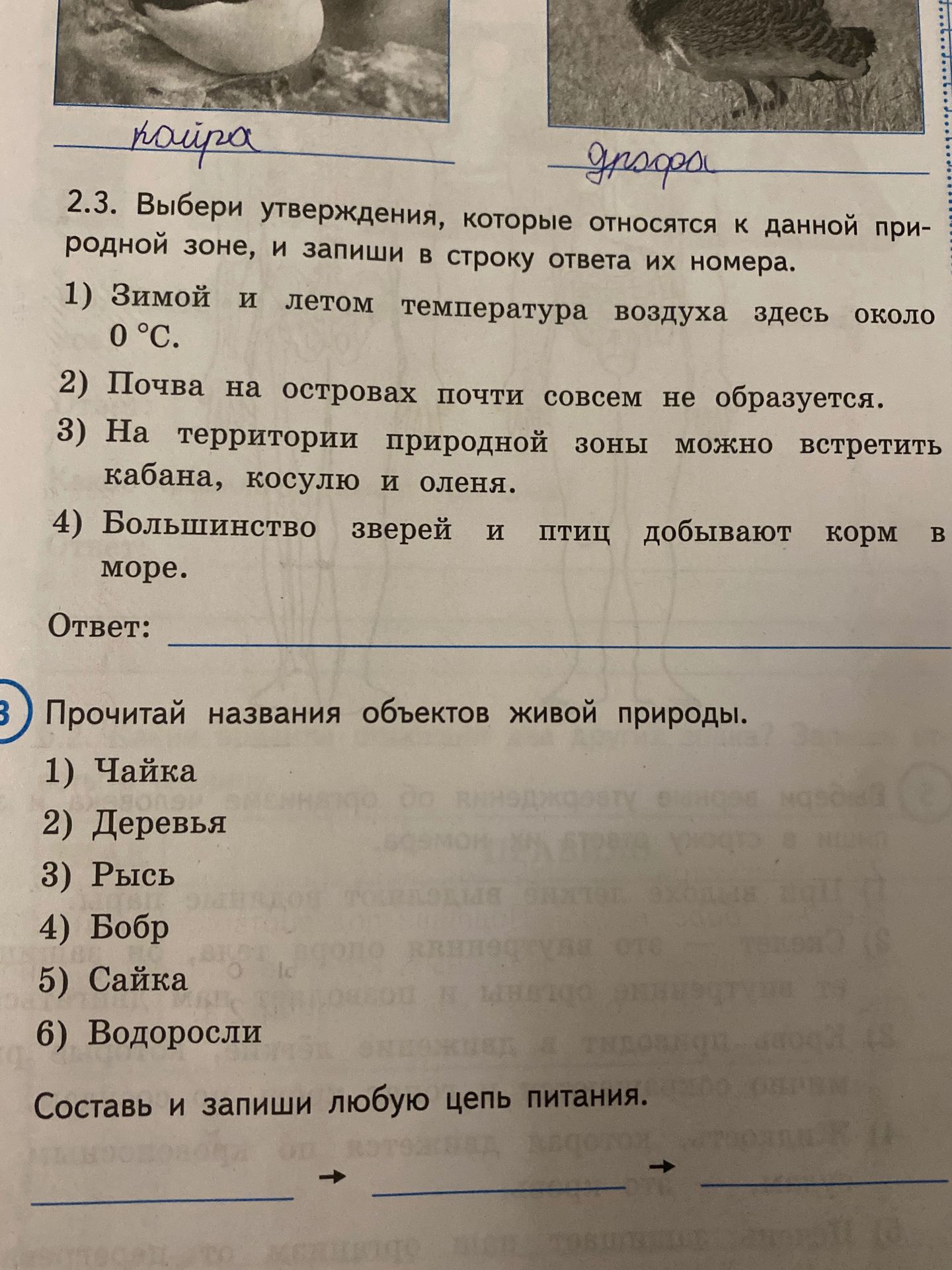 Фото задания: 2.3. Выбери утверждения, которые относятся к данной природной зоне, и запиши в строку ответа их номера. 1) Зимой и летом…