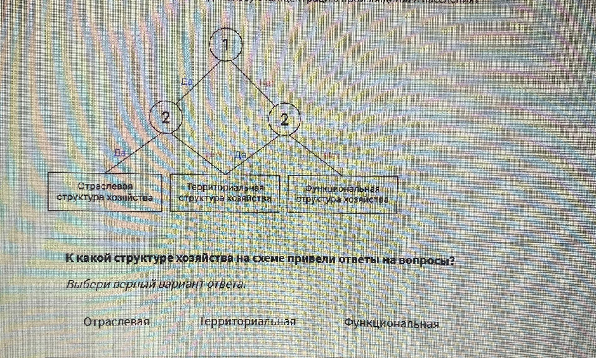 Фото задания: К какой структуре хозяйства на схеме привели ответы на вопросы? Выбери верный вариант ответа: отраслёвая, территориальная,…