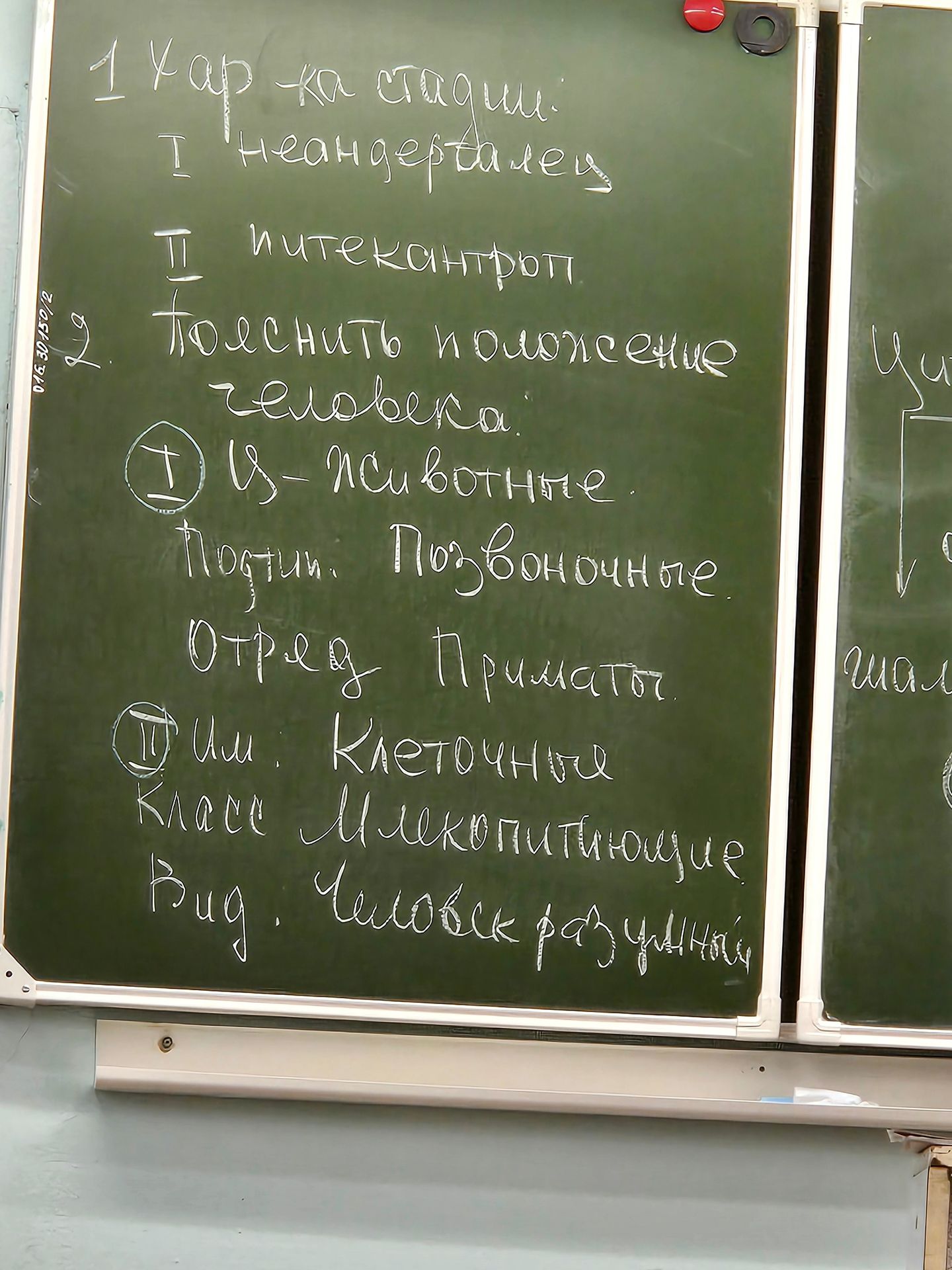 Фото задания: 1. Урок на сегодня: I. Неандерталец. II. Питекантроп. 2. Получить полное описание человека: животное; позвоночное; отряд…