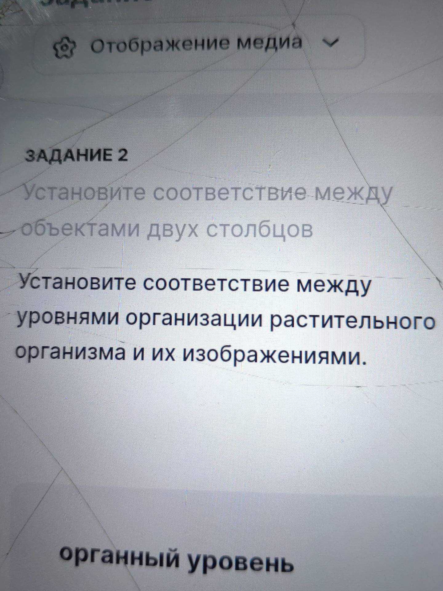Фото задания: Задание 2. Установите соответствие между уровнями организации растительного организма и их изображениями. [Изображения и…