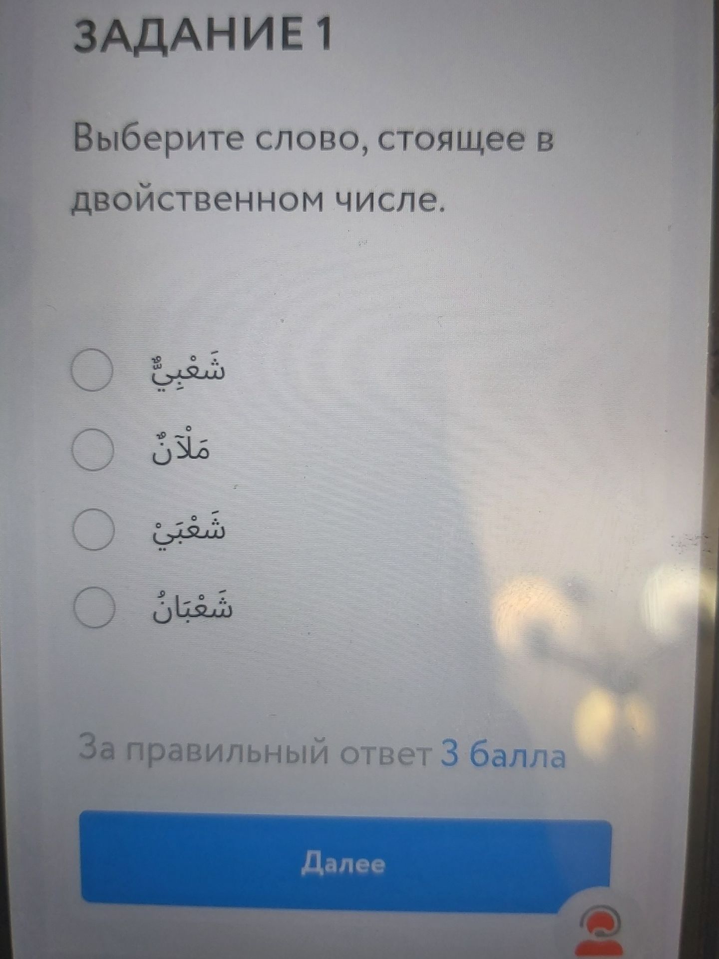 Фото задания: Выберите слово, стоящее в двойственном числе.