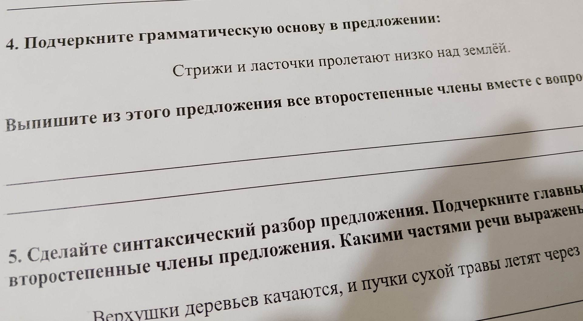 Фото задания: 4. Подчеркните грамматическую основу в предложении: Стрижи и ласточки пролетают низко над землёй. Выпишите из этого…