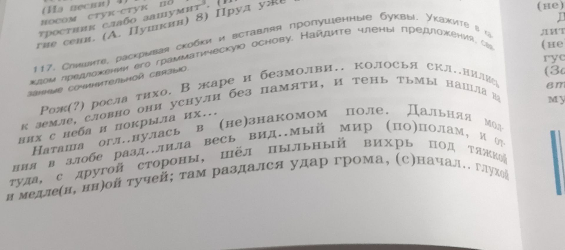 Фото задания: 117. Спишите, раскрывая скобки и вставляя пропущенные буквы. Укажите в каждом предложении его грамматическую основу.…