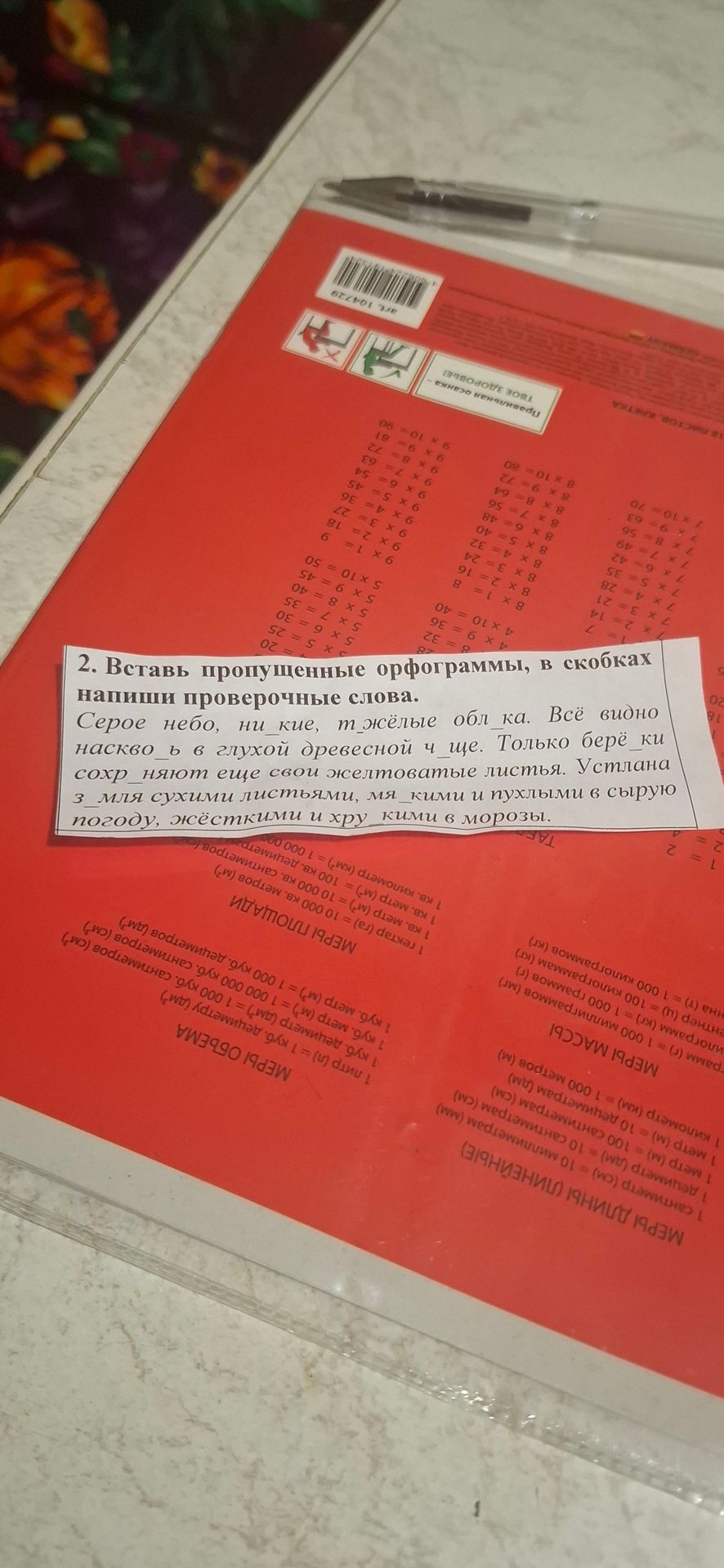 Фото задания: 2. Вставь пропущенные орфограммы, в скобках напиши проверочные слова. Серое небо, ни_кие, т_жёлые обл_ка. Всё видно…