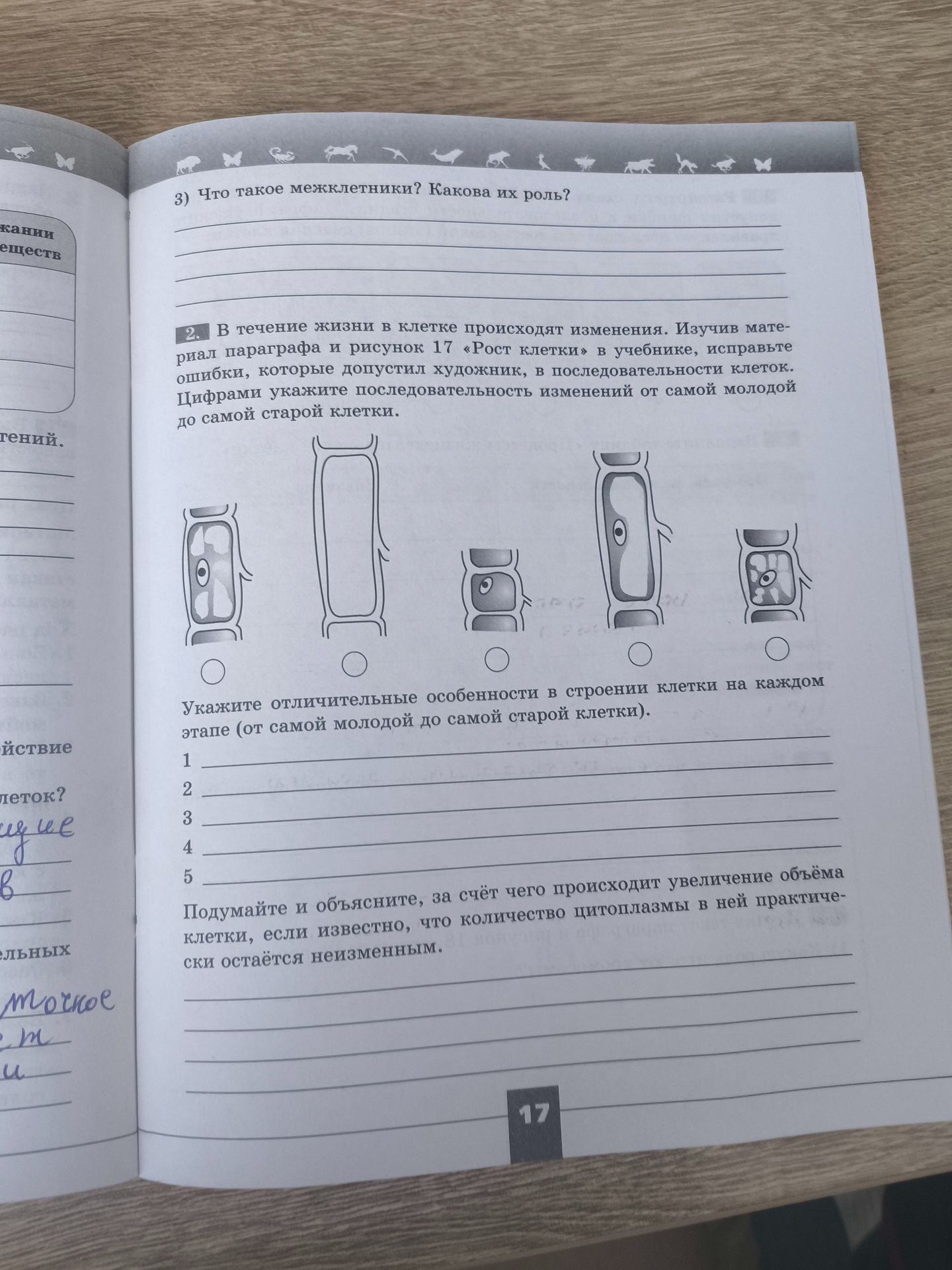 Фото задания: 3) Что такое межклетники? Какова их роль?