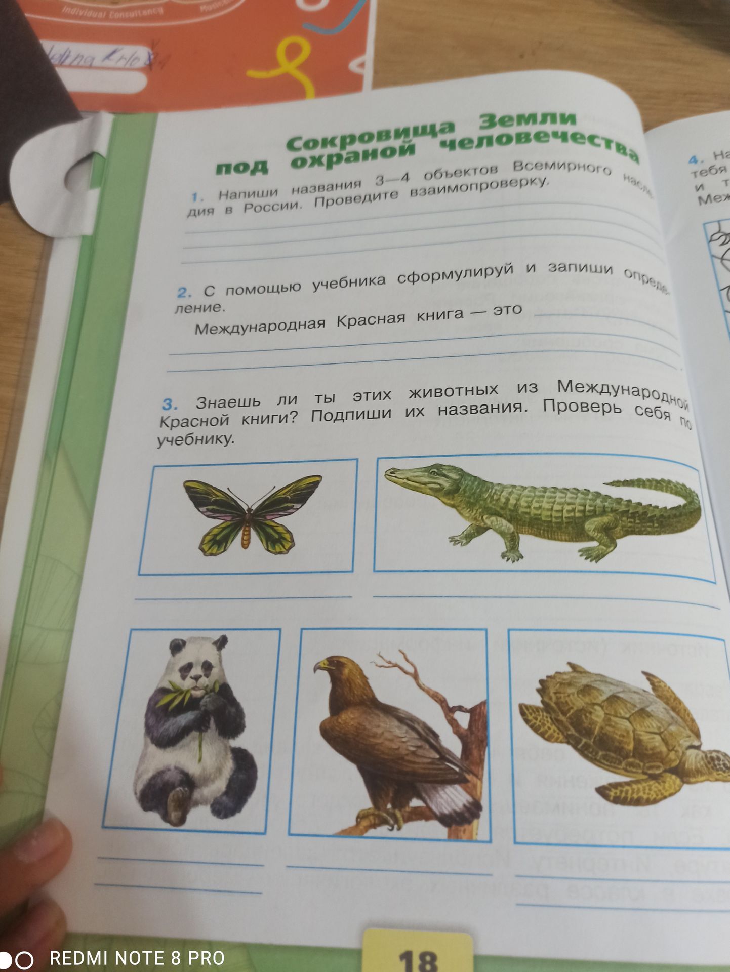 Фото задания: 3. Знаешь ли ты этих животных из Международной Красной книги? Подпиши их названия. Проверь себя по учебнику.