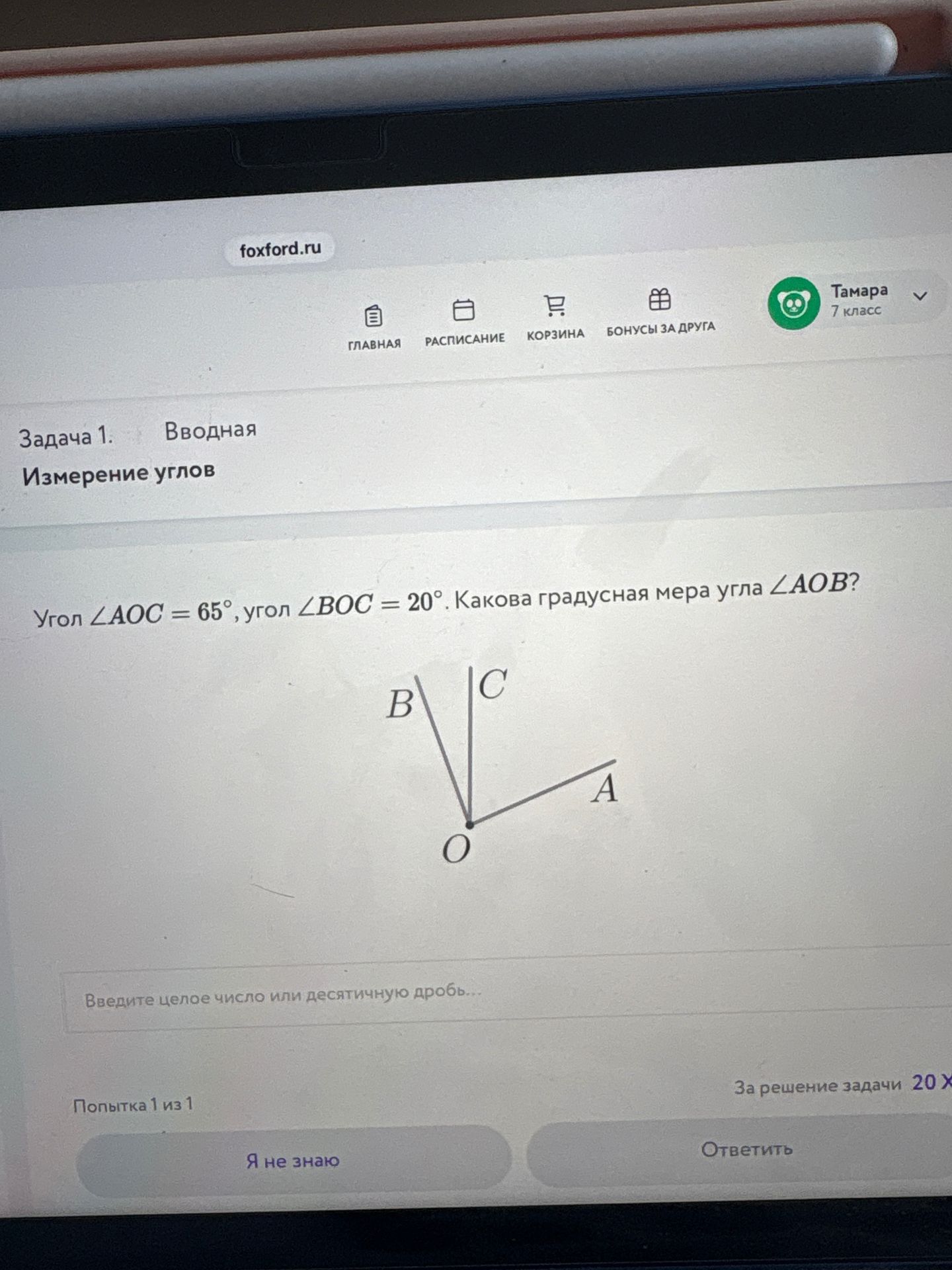 Фото задания: Угол ∠AOC = 65°, угол ∠BOC = 20°. Какова градусная мера угла ∠AOB?