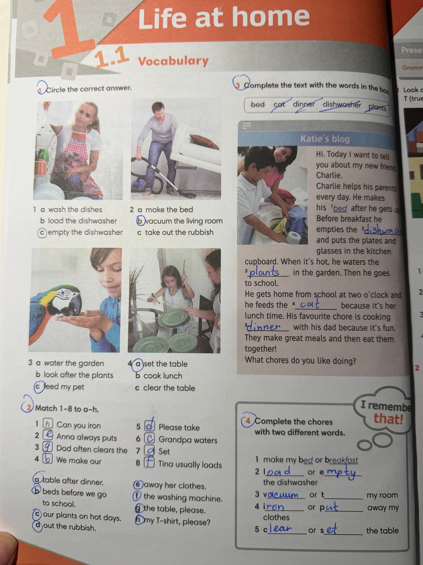 Фото задания: 3. Complete the text with the words in the box: bed, cat, dinner, dishwasher, plants. Katie’s blog. Hi. Today I want to…